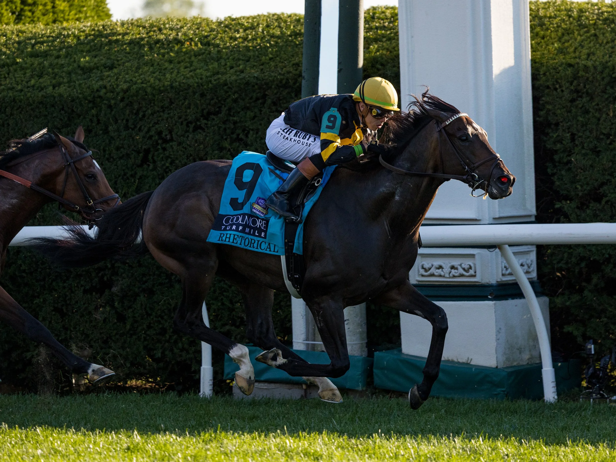 Rhetorical - Race 06.jpg