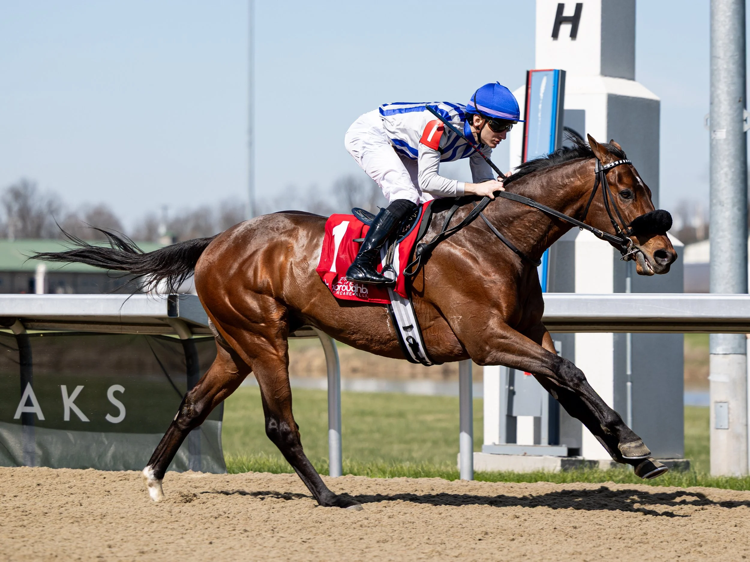 King Size - Finish 06.jpg