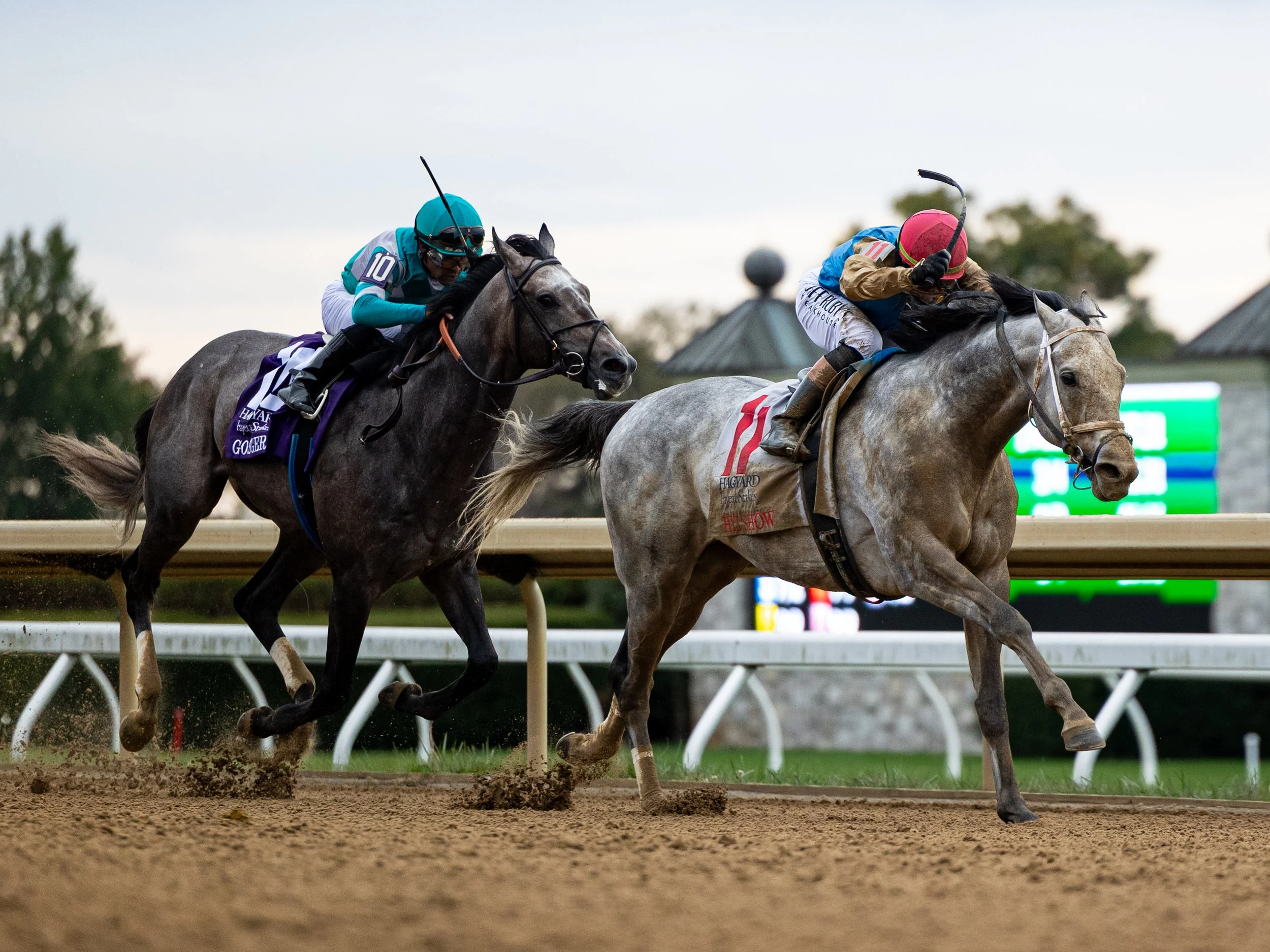 Hit Show - Finsh 02.jpg