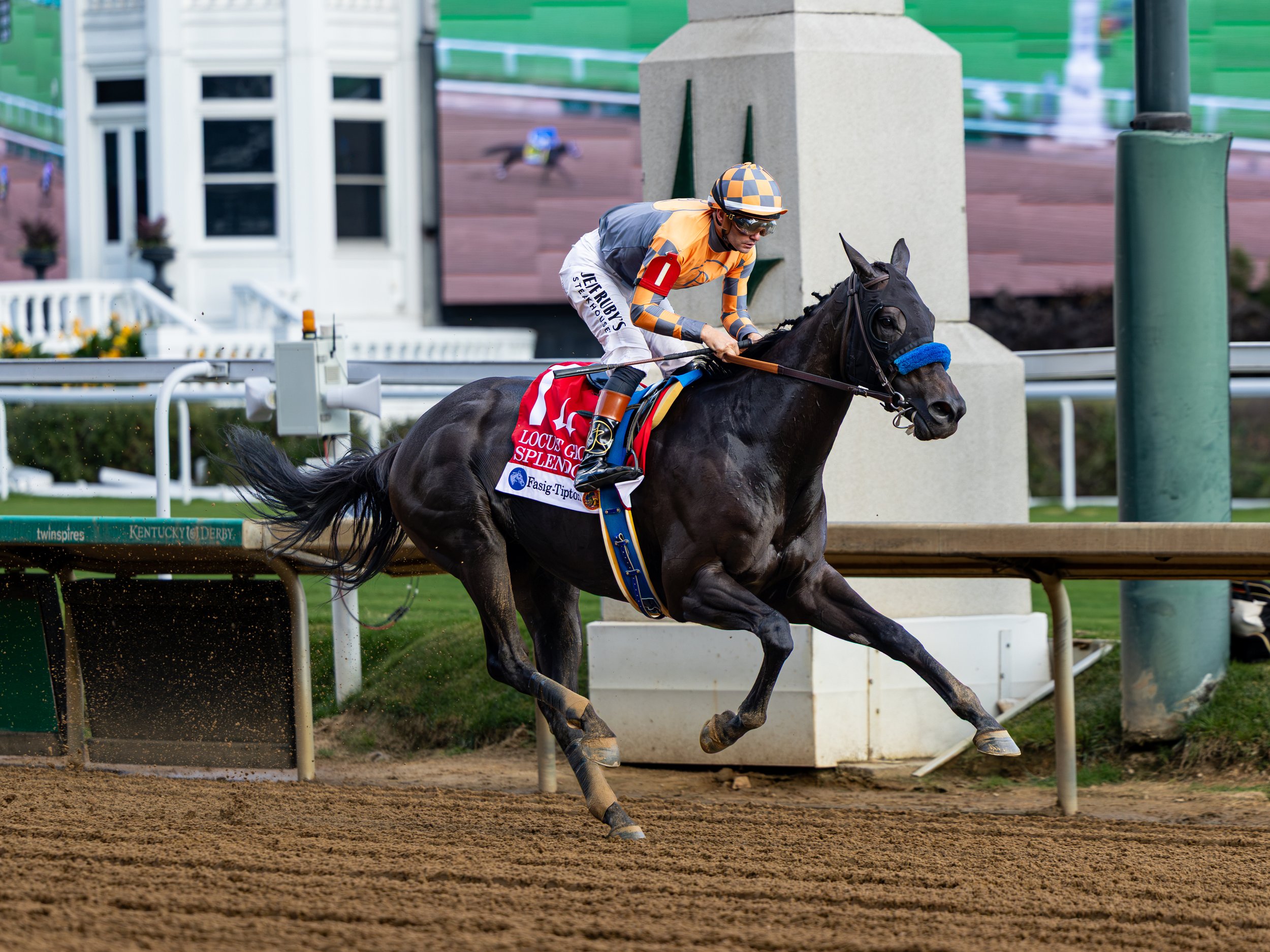 Splendora - Finish 03.jpg