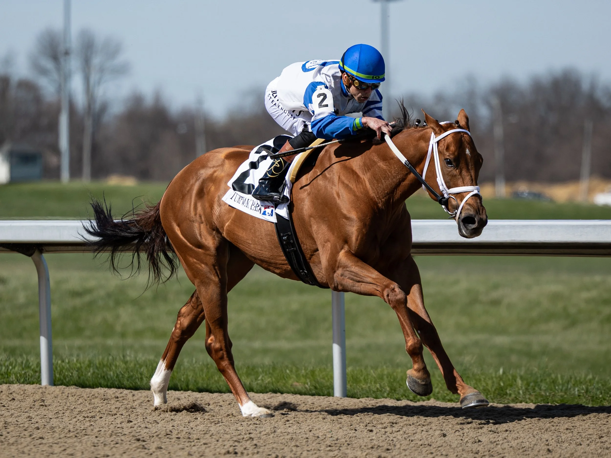 Styliish Sue - Finish 01.jpg