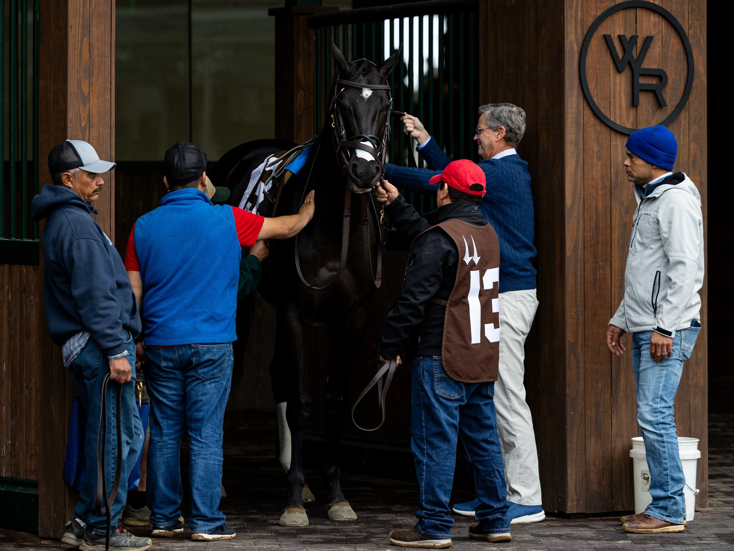 Tedder - Paddock 02.jpg