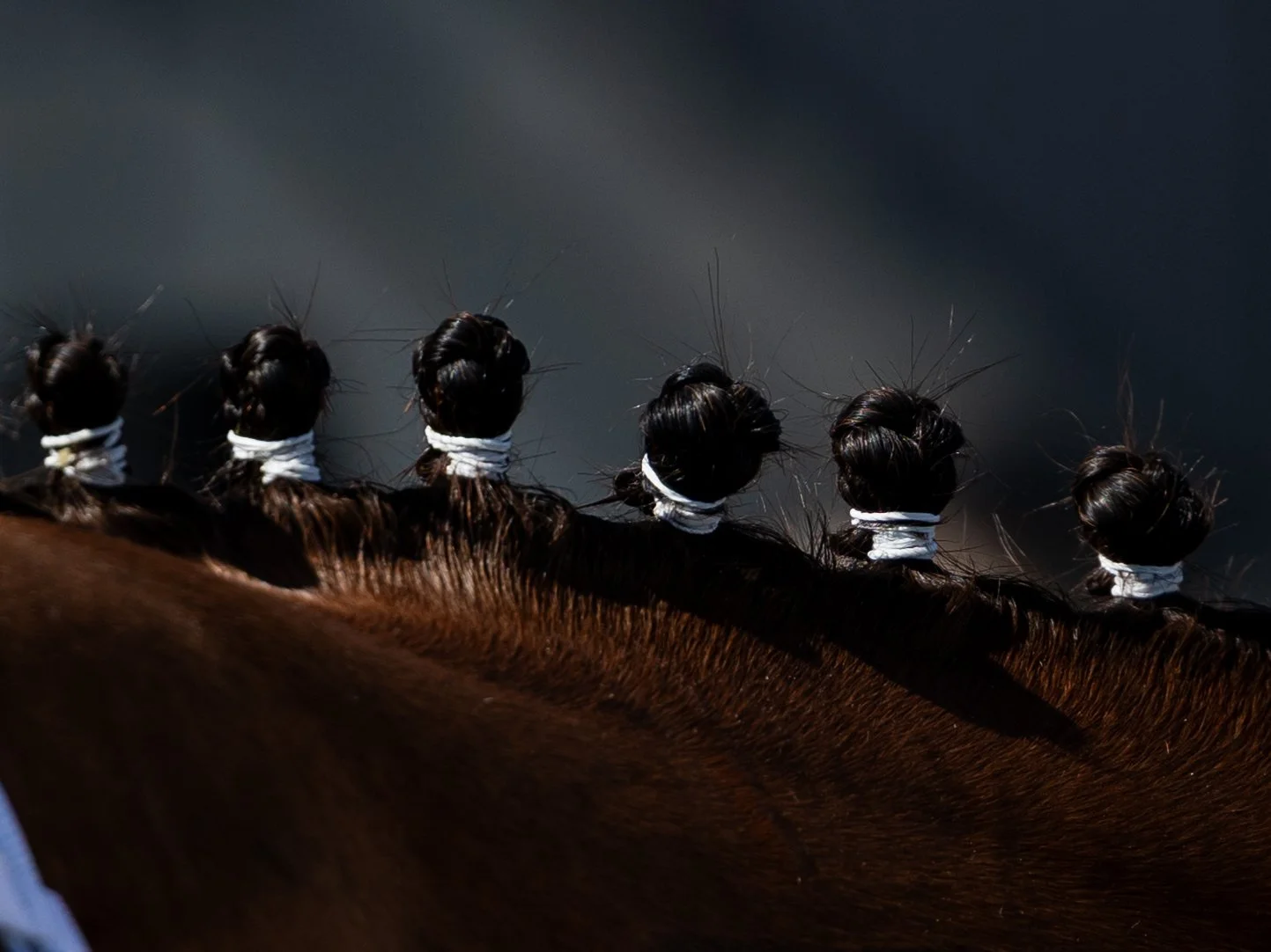 Styliish Sue - Braids 01.jpg