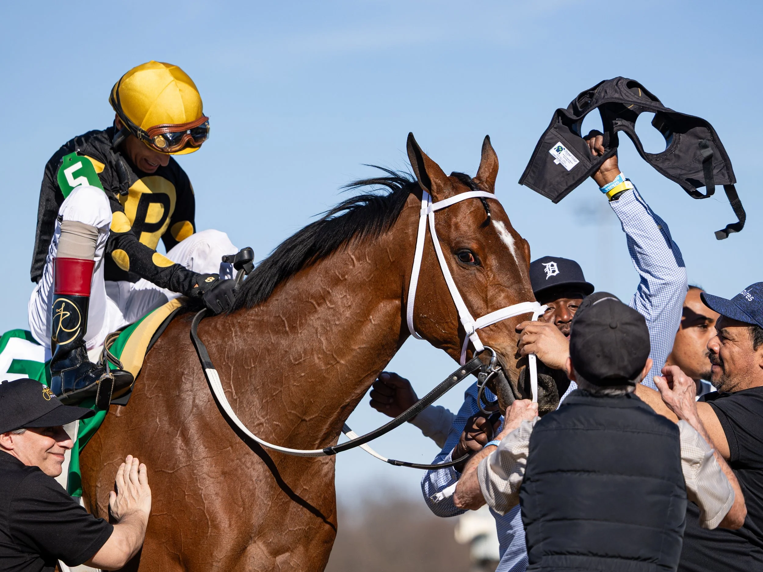 Willy D's - Come Back 02.jpg