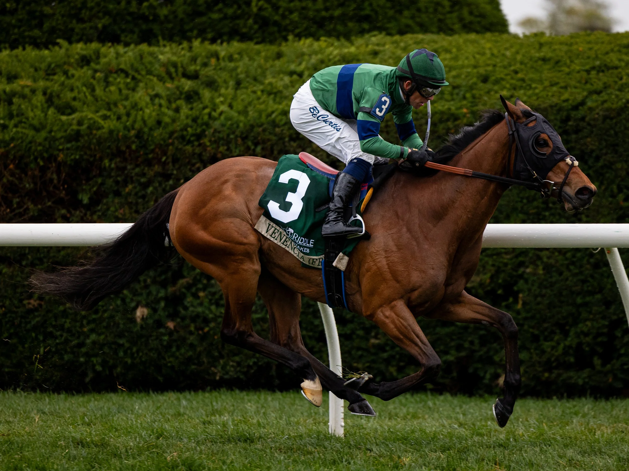 Venencia - Finish 04.jpg