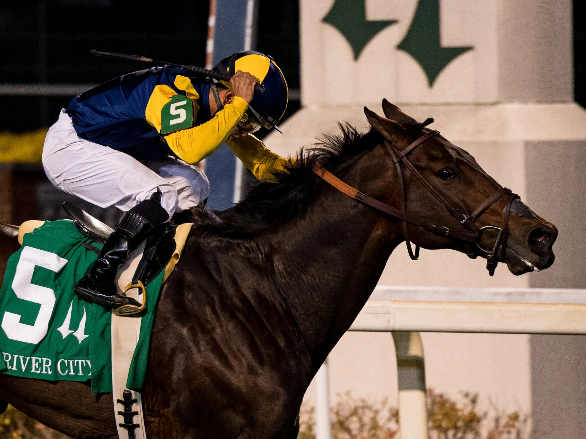 Wolfie's Dynaghost - Finish 04.jpg