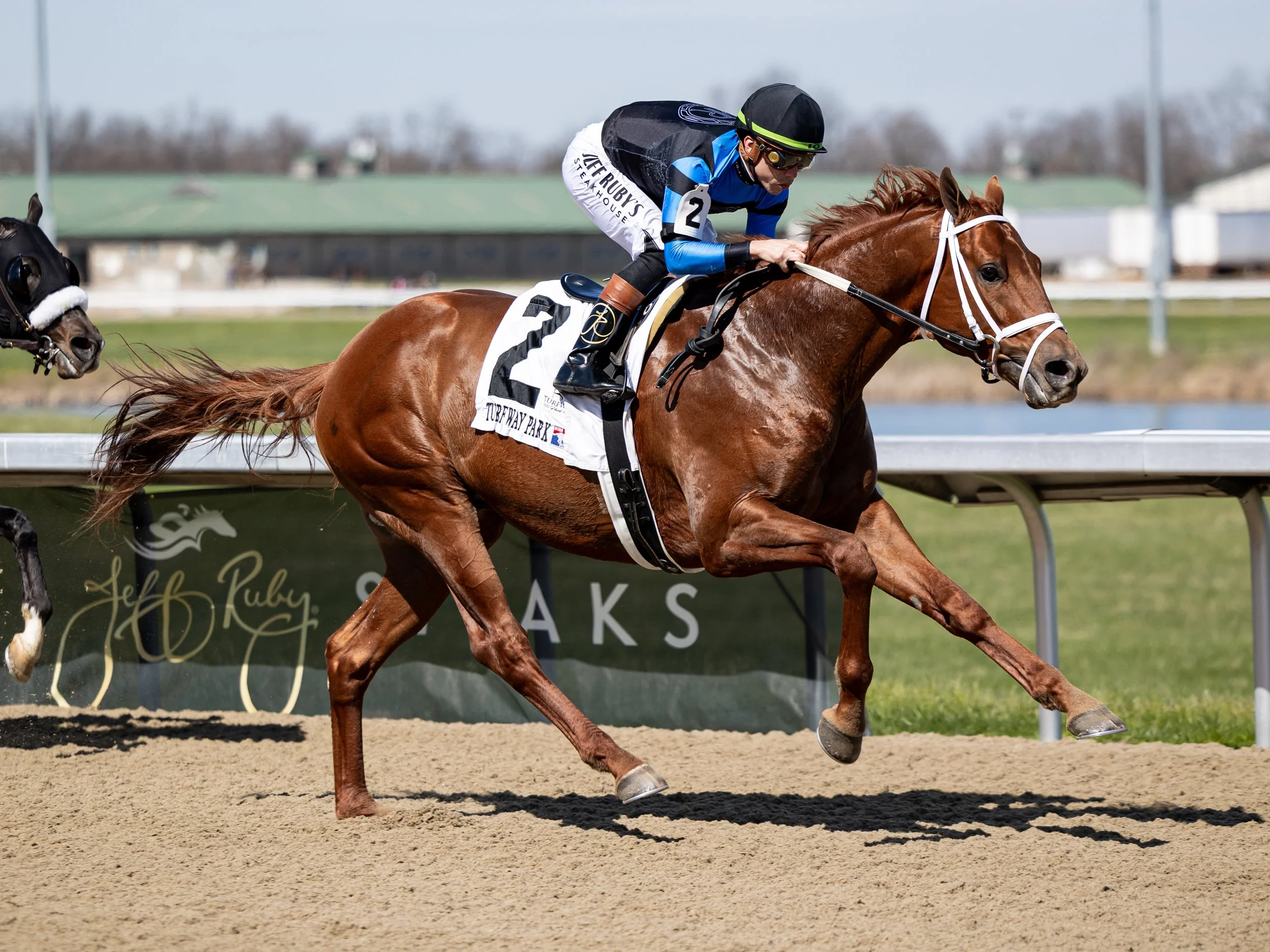 Volendam - Finish 04.jpg