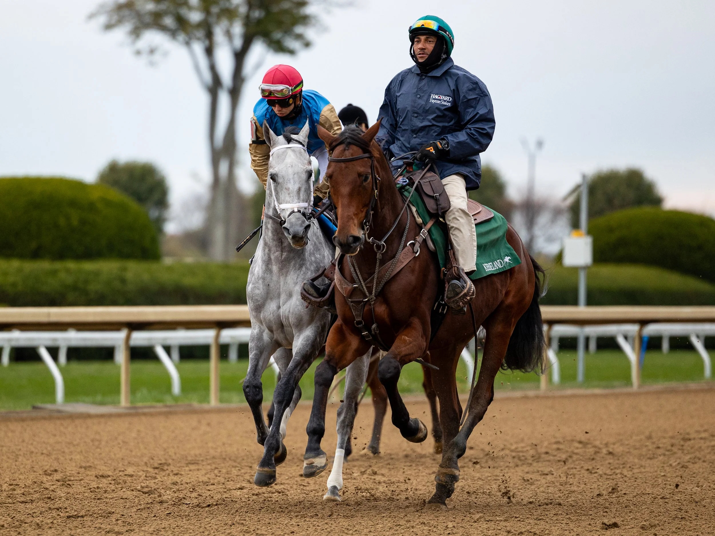 Hit Show - Post Parade 02.jpg