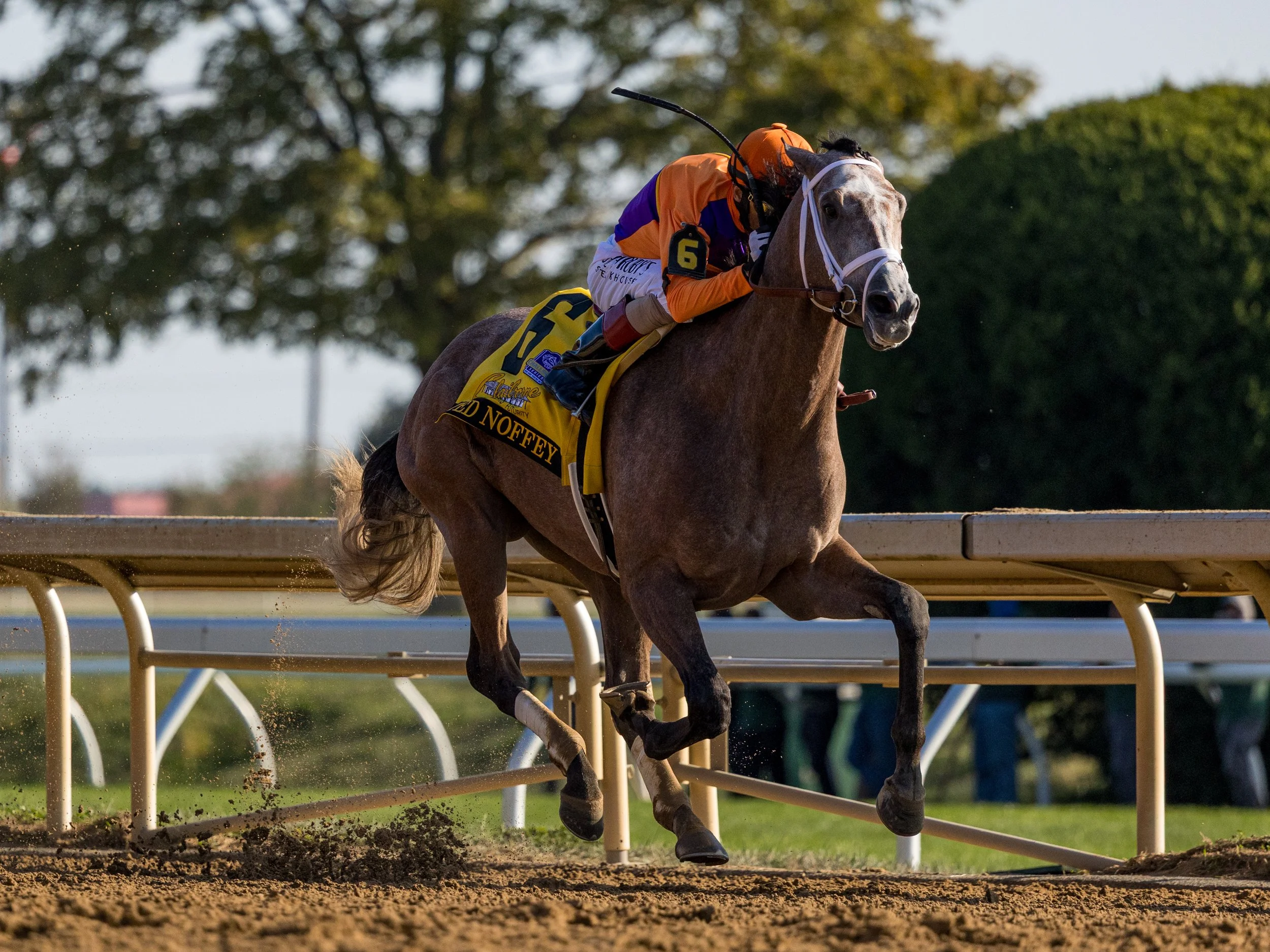 Ted Noffey - Race 07.jpg