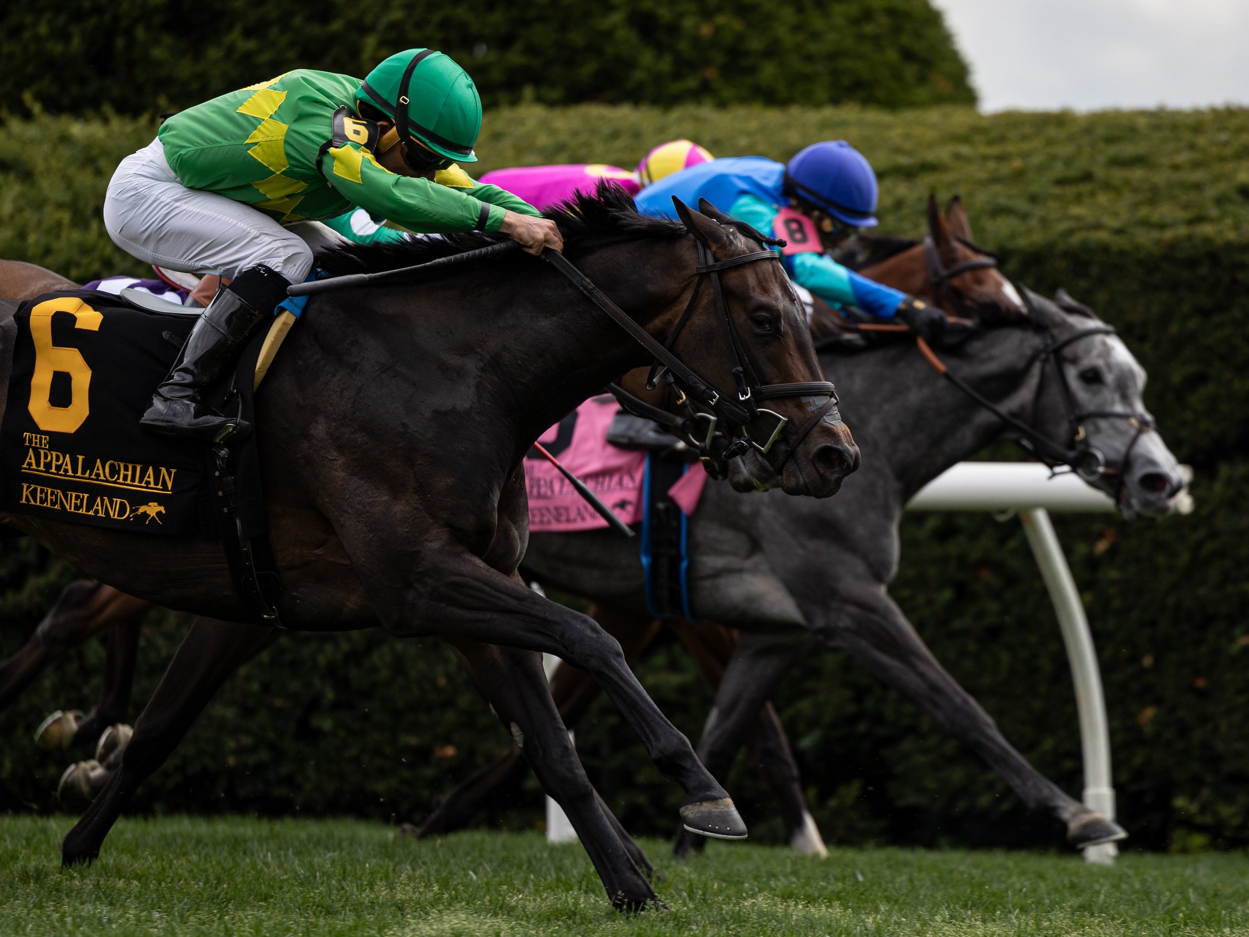Storm's Wake - Finish 05.jpg