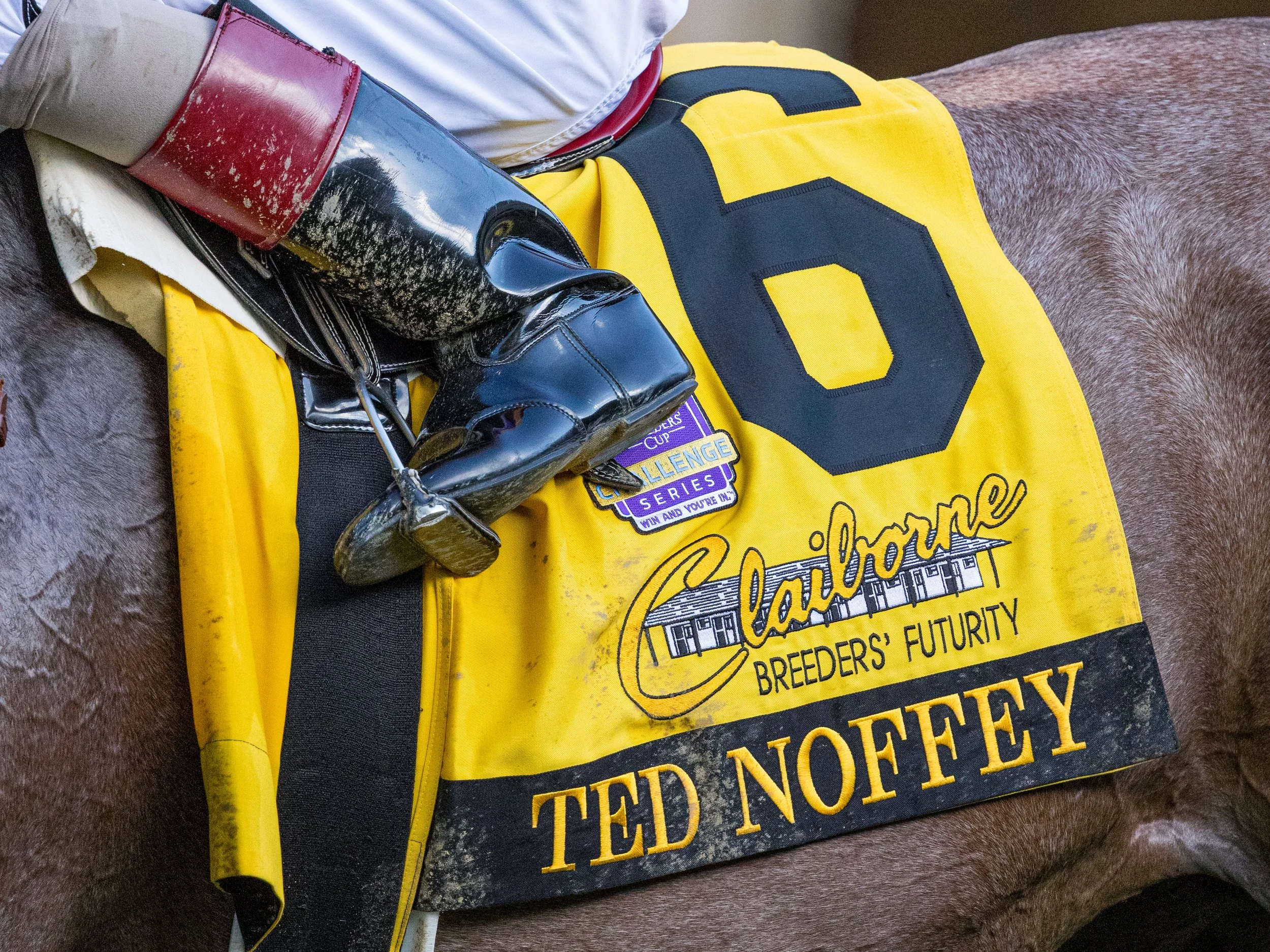 Ted Noffey - Saddle Towel 01.jpg