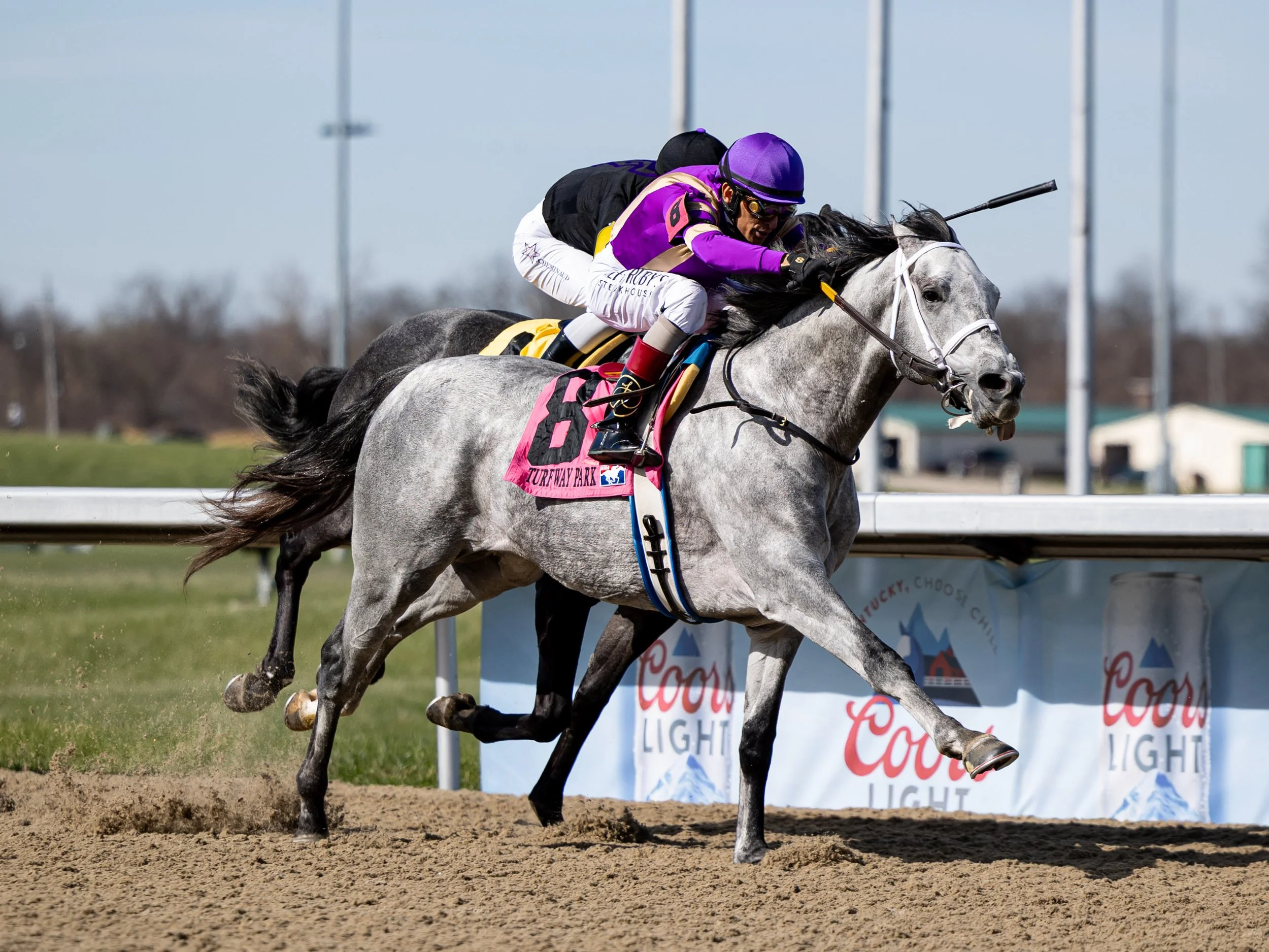 Bull by the Horns - Finish 01.jpg