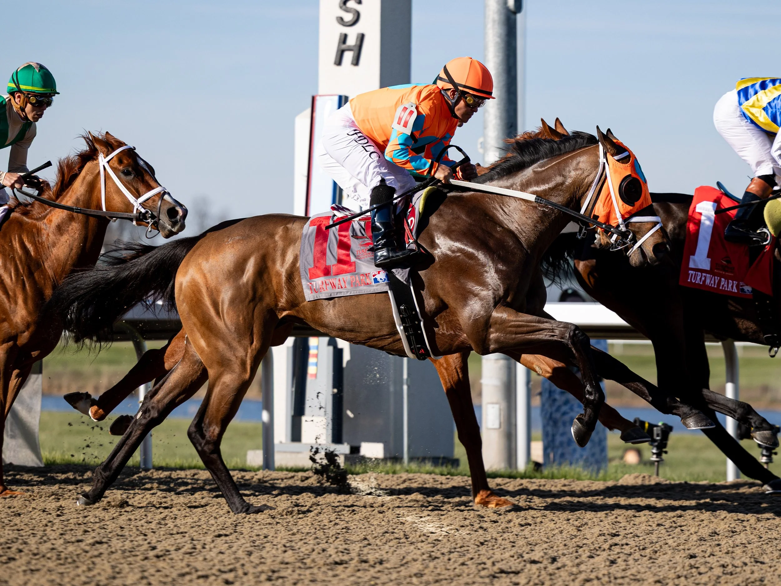 Lorelei Lee - First Pass 03.jpg