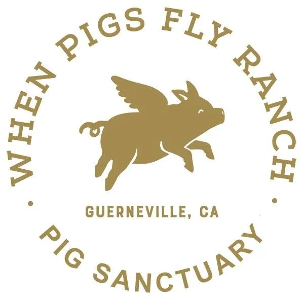 when pigs fly ranch.jpg