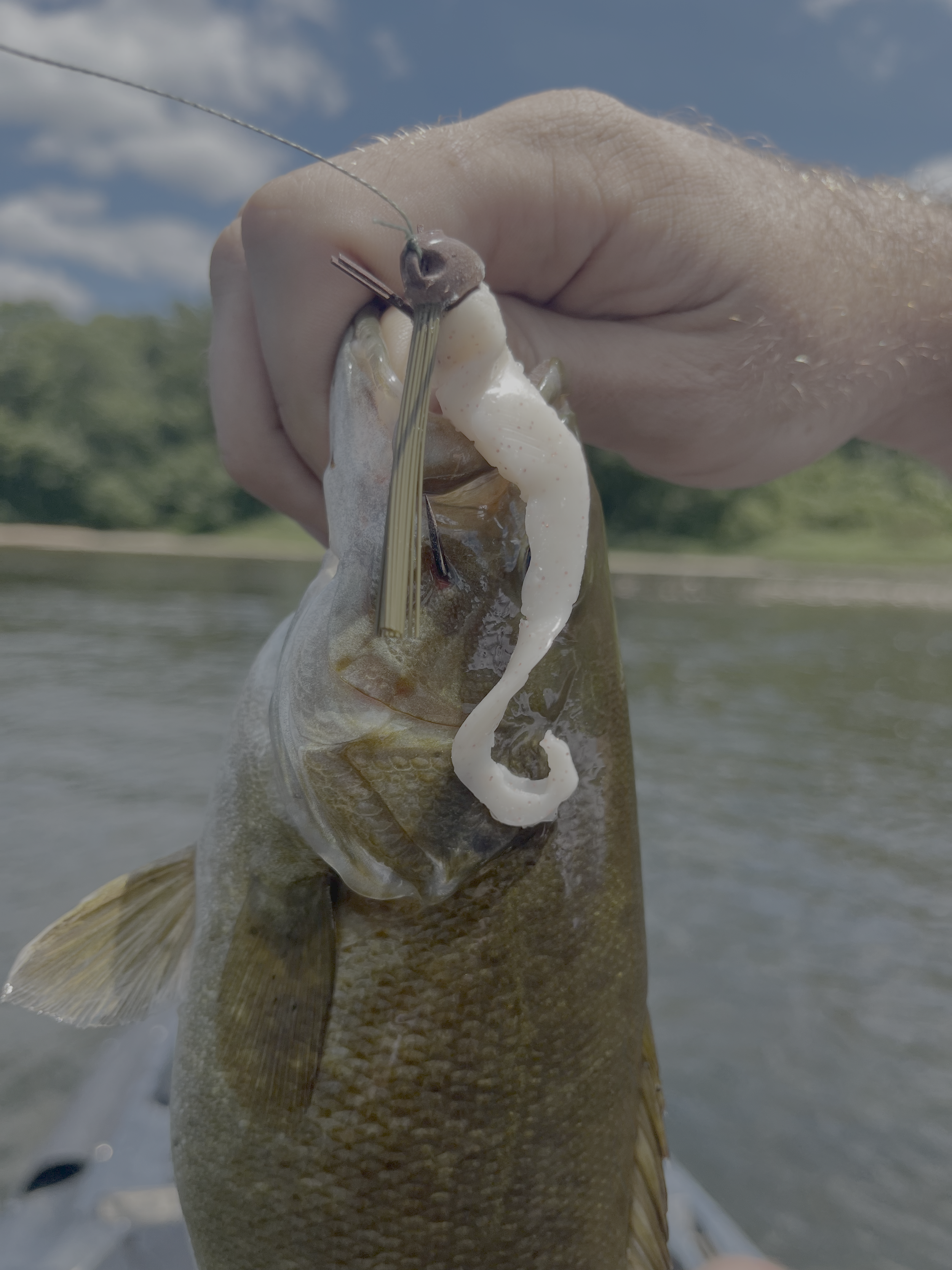 fishyBoy.png