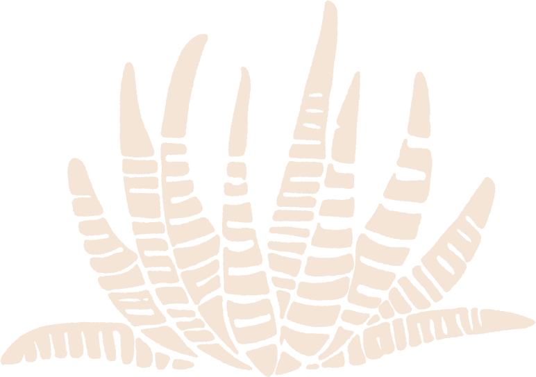 Cactus filled white.png