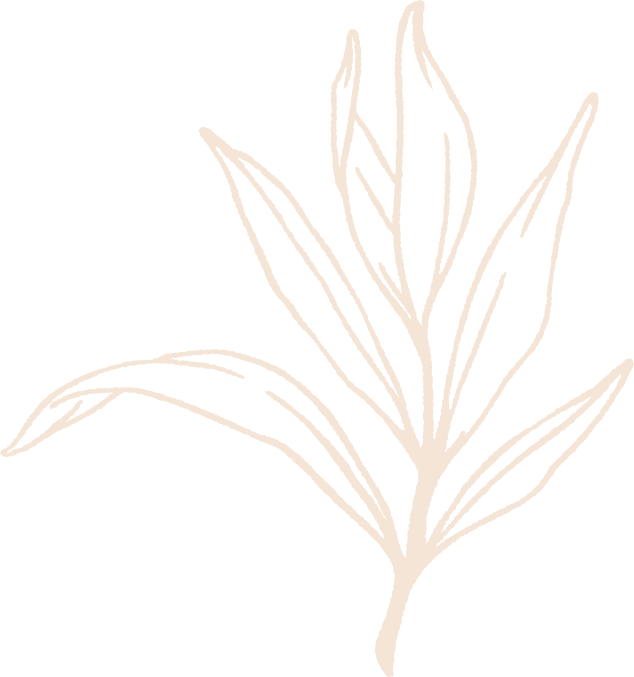 Sage white.png