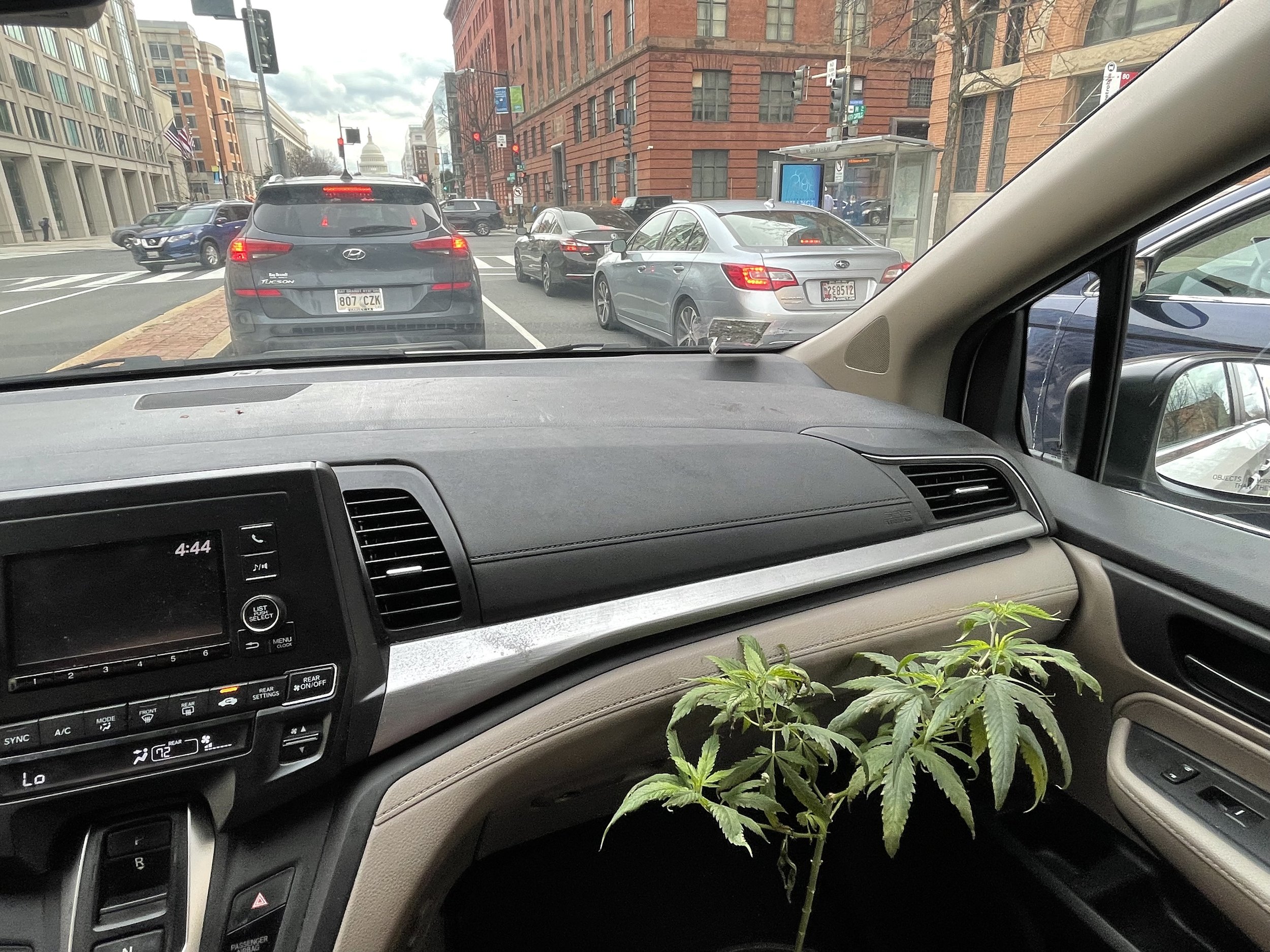 Chameleons in Our Midst: The Evolution of America’s Anti-Marijuana Lobby