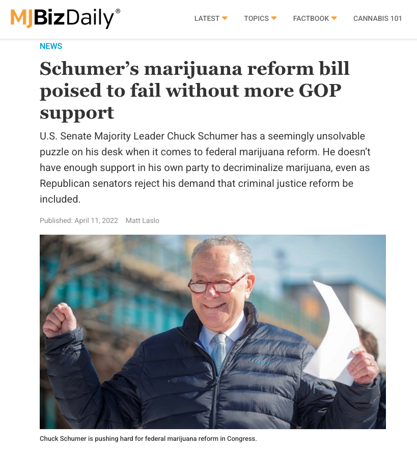 Screenshot of LCB founder Matt Laslo's exclusive marijuana feature from Washington, DC for national cannabis outlet MJ Biz Daily