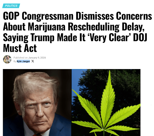 Screengrab of Marijuana Moment cover photo of President Trump next to marijuana leaf. Used by permission fair use