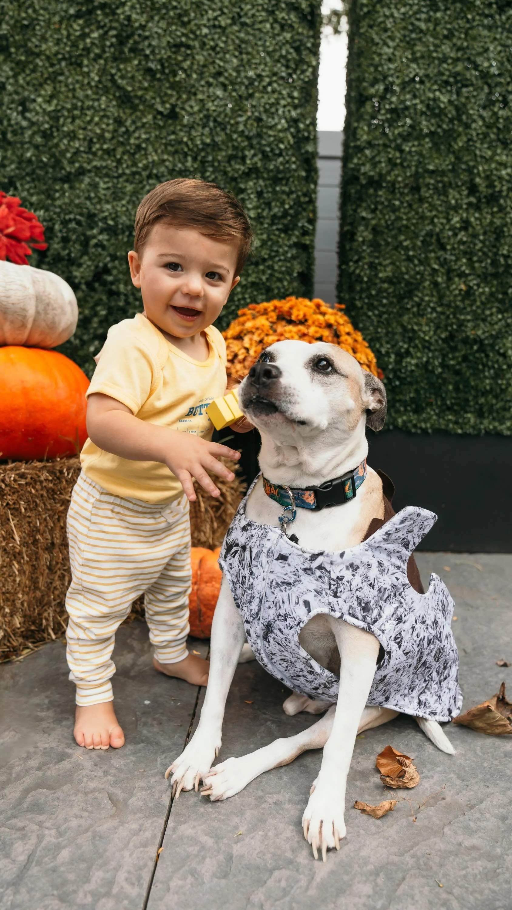 Behind The Scenes: Amazon The Drop Photoshoot — Caralyn Mirand