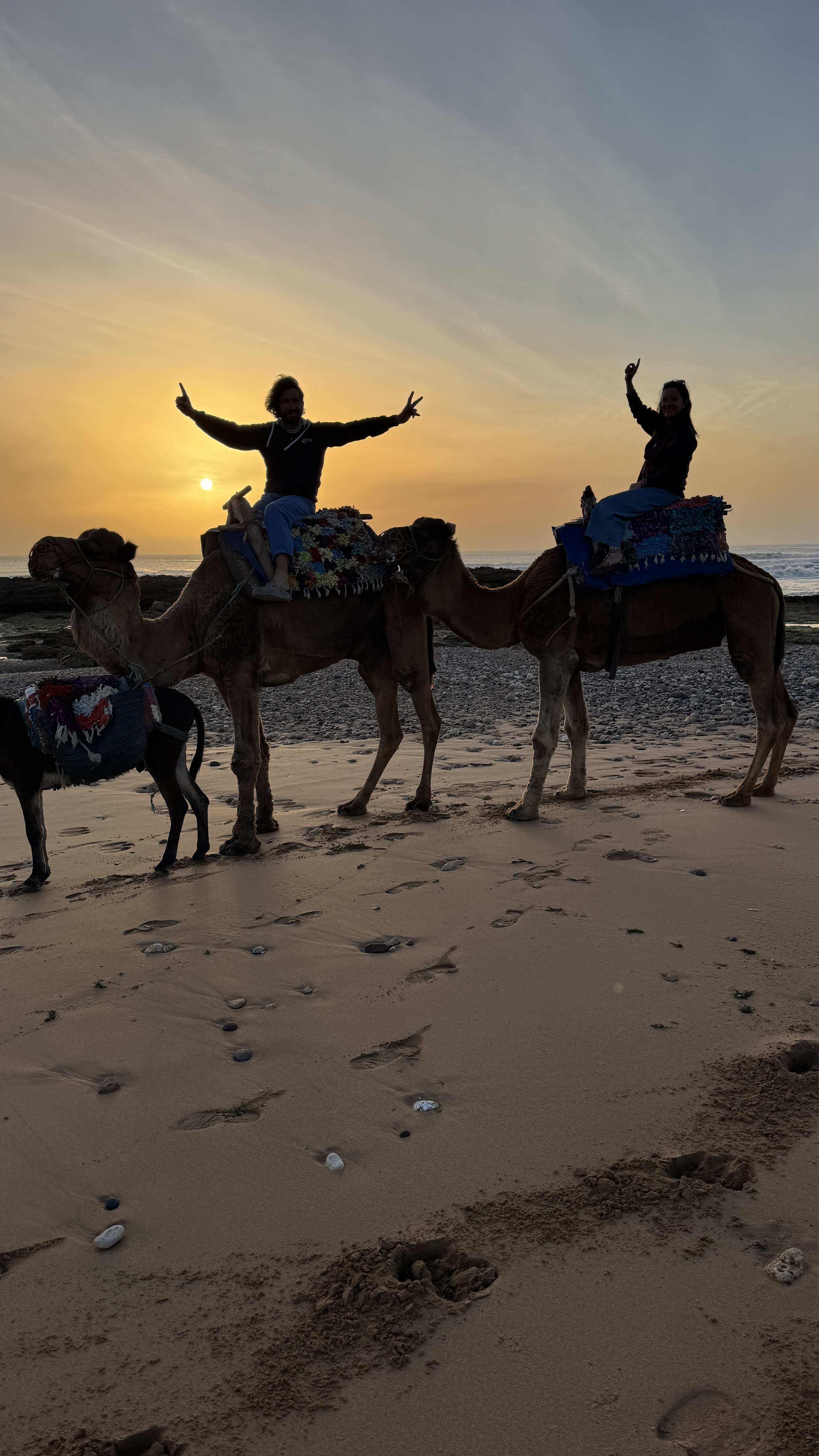 Essaouira : nos adresses et coups de cœur pour un séjour entre mer et médina