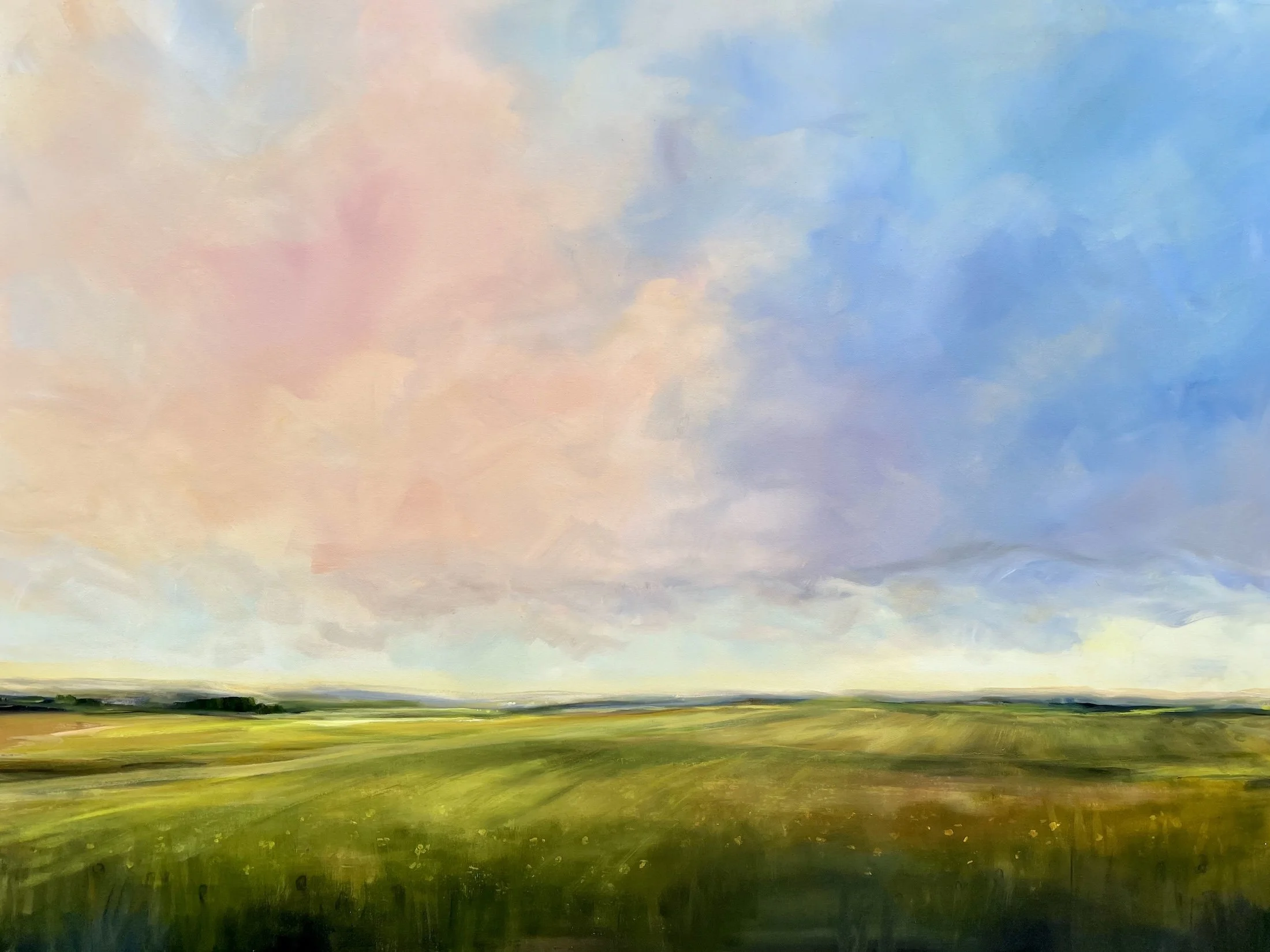 A Prairie Memory 36 x 48, acrylic, graphite and metallic paint on canvas