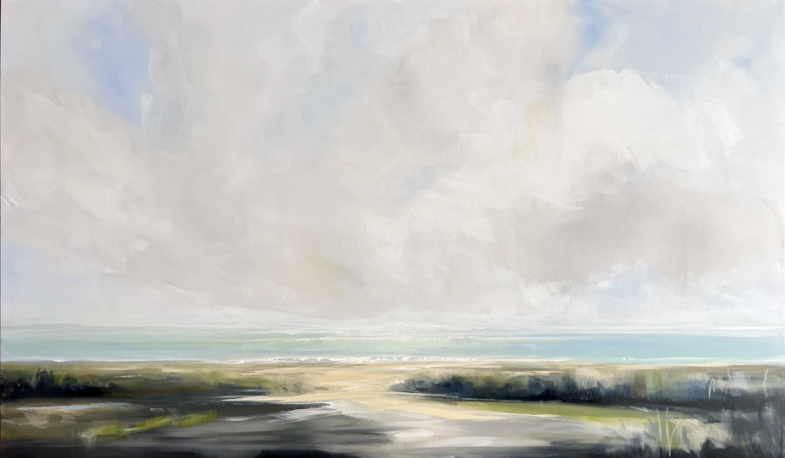 Go Softly | Acrylic and graphite on canvas, 36x60 inches SOLD