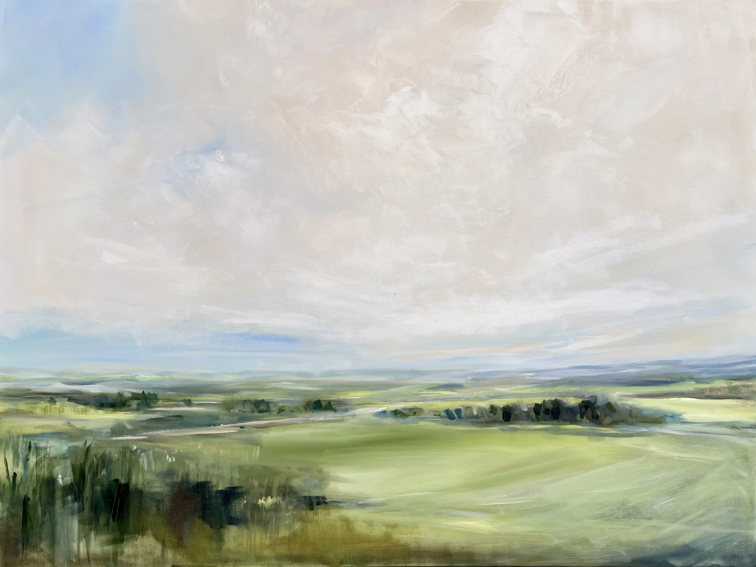 Gently Rolling | Acrylic and graphite, 30x40 inches, framed in maple  INQUIRE 