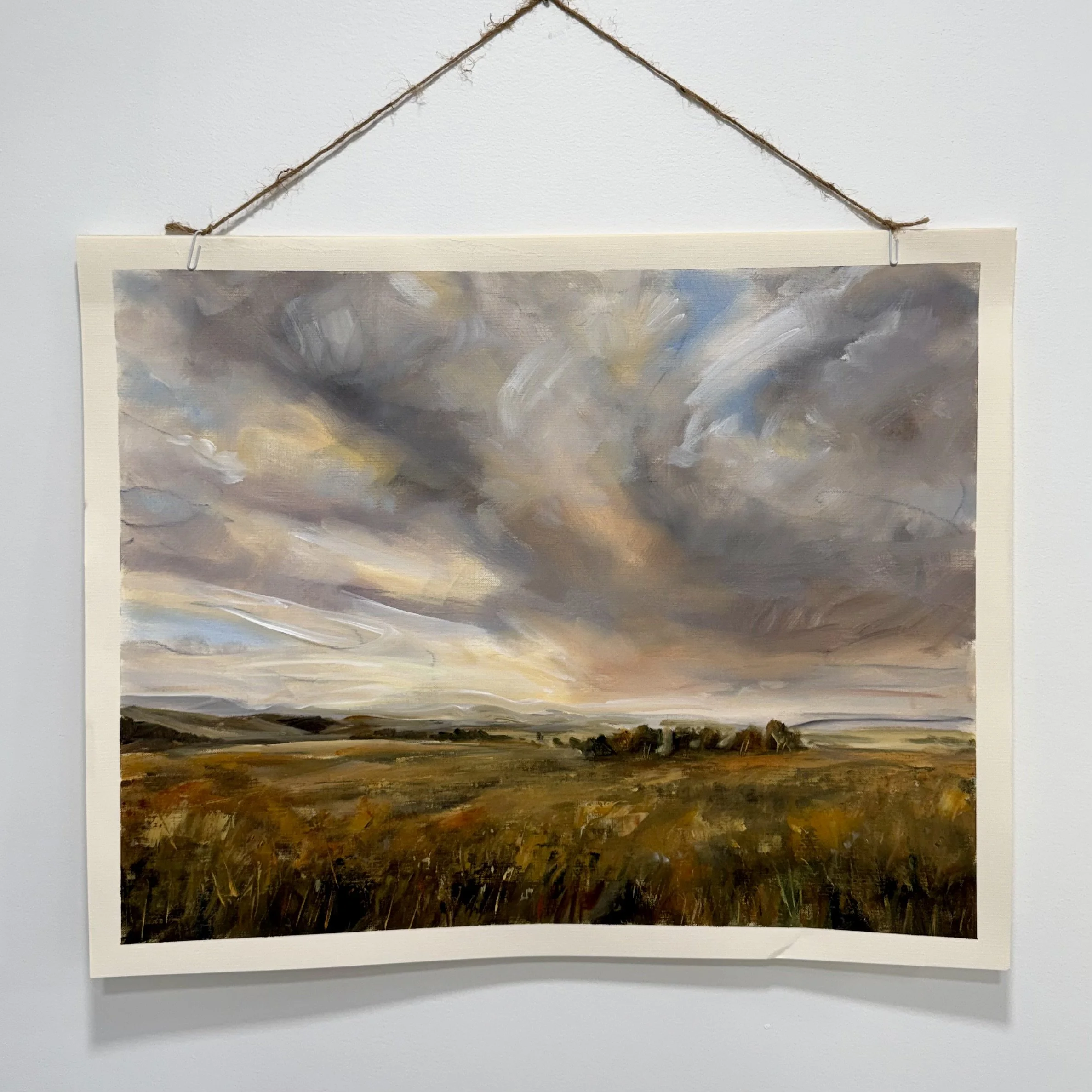 Landscape Study 270 | acrylic and graphite on paper, 16x20 inches SOLD