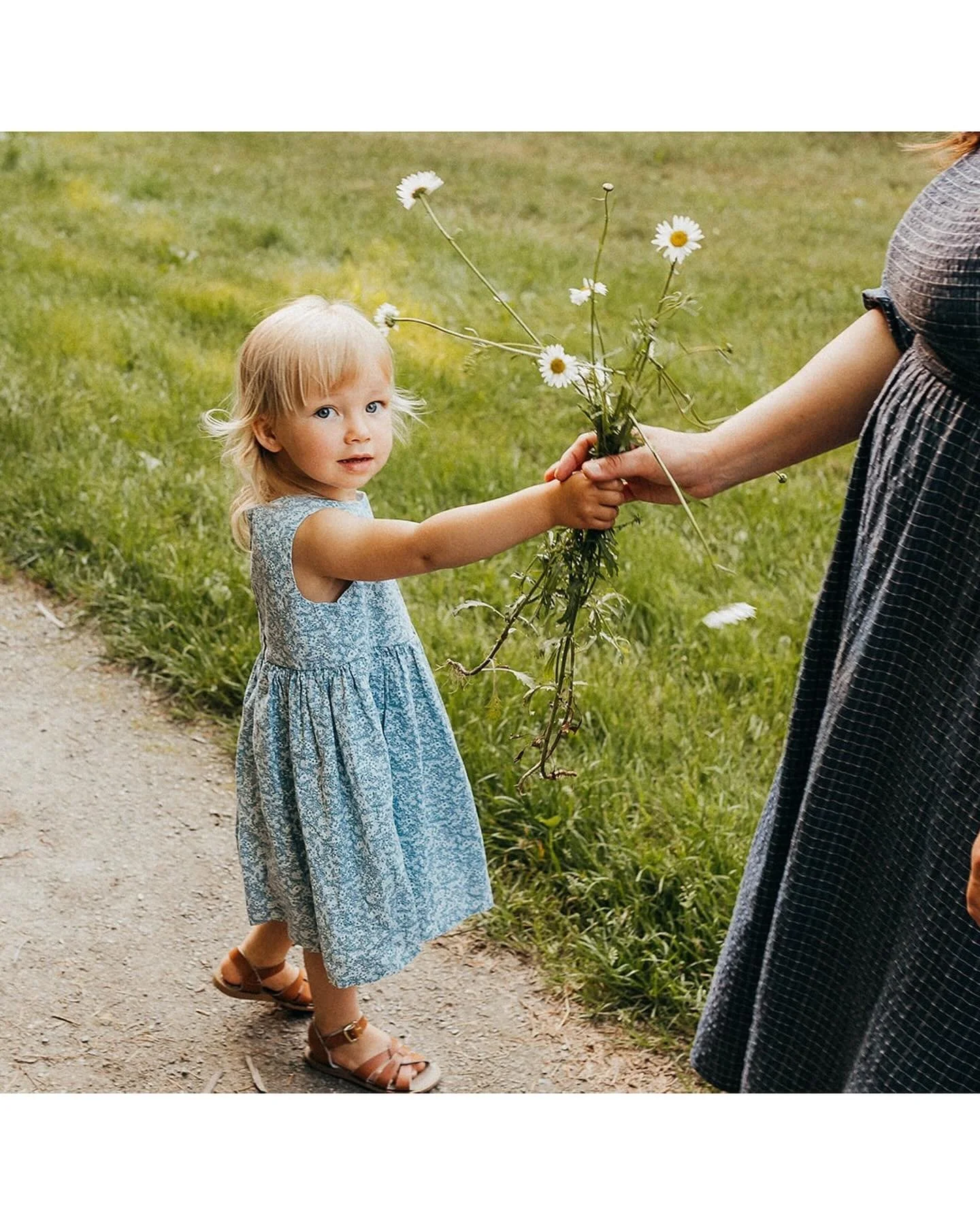 &ldquo;&hellip;Tell me, what is it you plan to do / with your one wild and precious life?&rdquo;
Mary Oliver, &ldquo;The Summer Day&rdquo;
-
-
-
-
-
-
-
-
#hiddenlivesphotography 
#britishcolumbiaphotographer 
#bcphotographer
#abbotsfordphotographer
