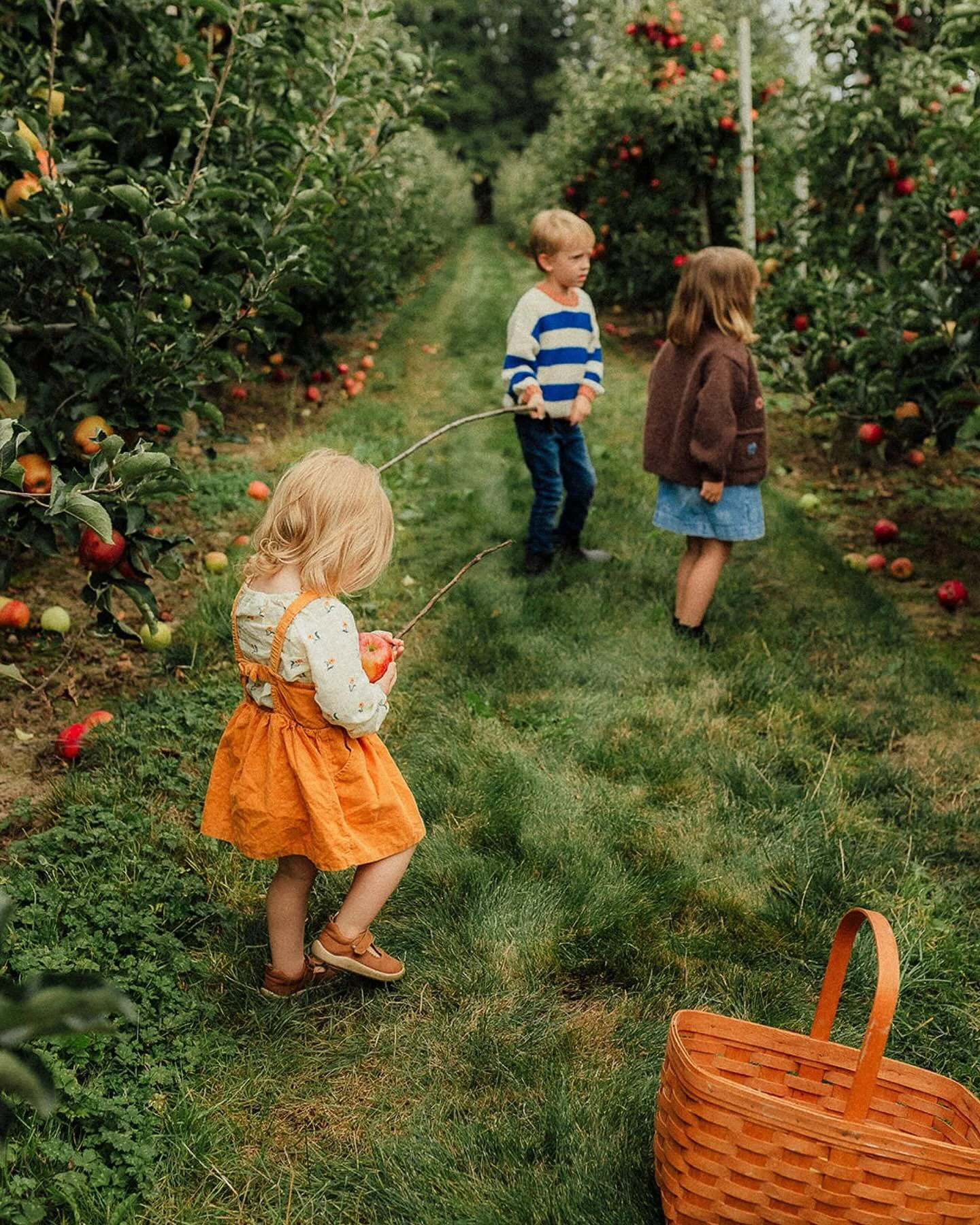 Scenes from an especially gorgeous September.