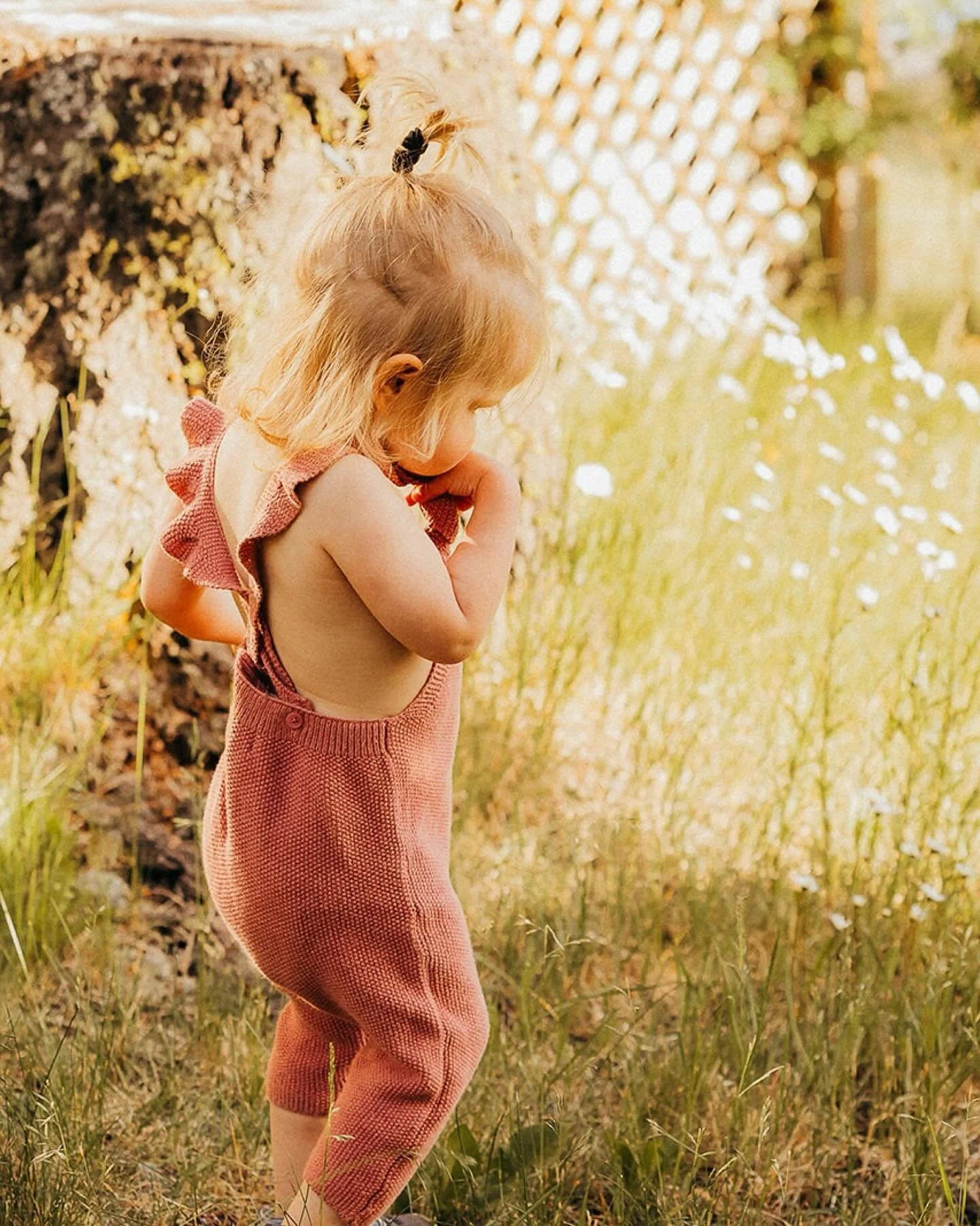 A few scenes of what&rsquo;s been going on over here this summer &mdash; flowers, gardens, babies, sunshine, berry picking and ferry rides ☀️ 

I can&rsquo;t believe there are only a few weeks of summer left! I have some space on my calendar this mon