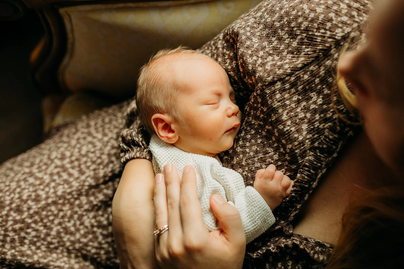 Langley Family Photographer | January In-Home Newborn Photography Session | Hidden Lives Photography