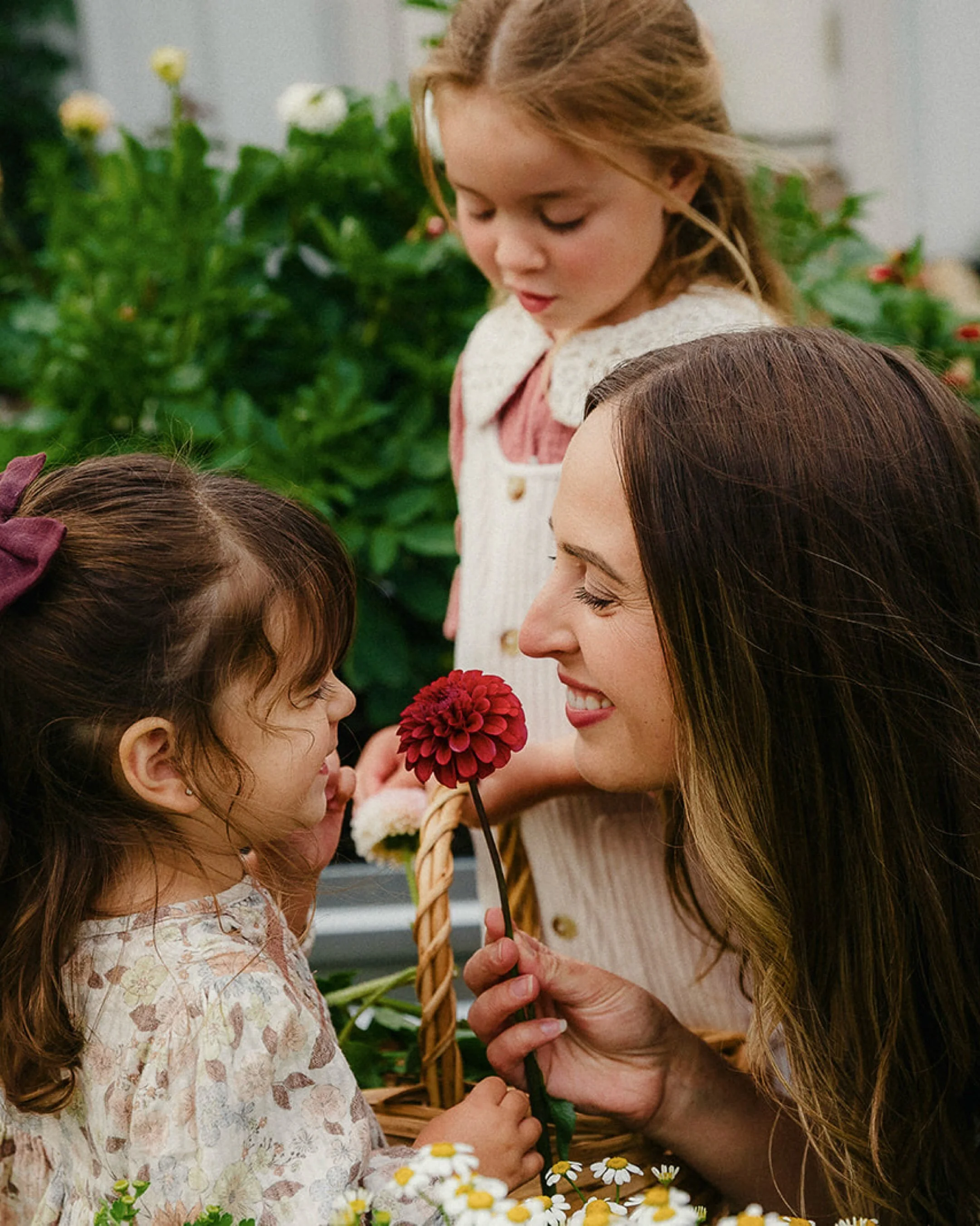 Sharing more favorites from the garden during this family session. I think it&rsquo;s a fitting tribute to the summer garden as we say goodbye to September and welcome October! 

Hello, I&rsquo;m Carly, a family photographer based in the Fraser Valle