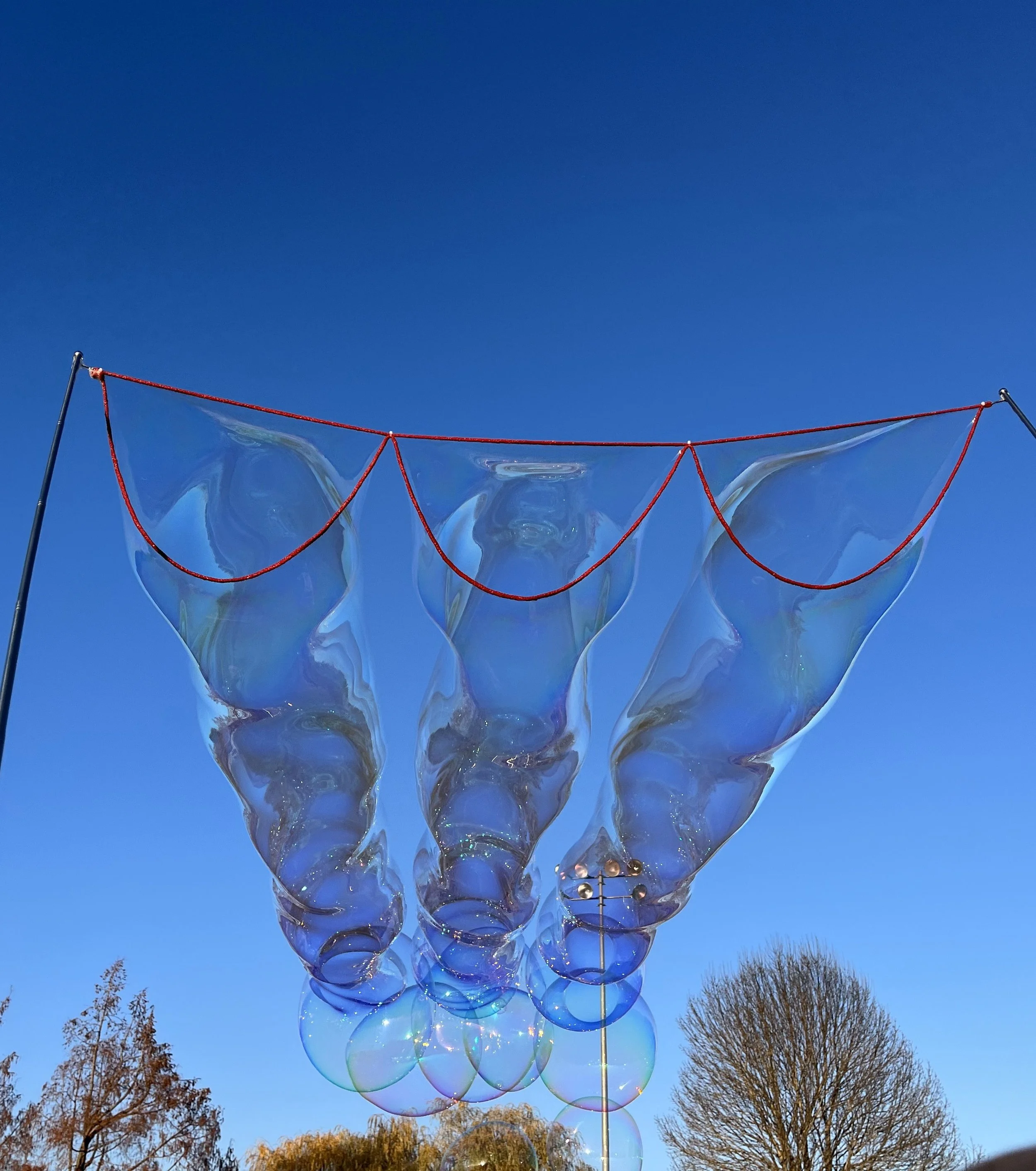 3M website photo.jpg
