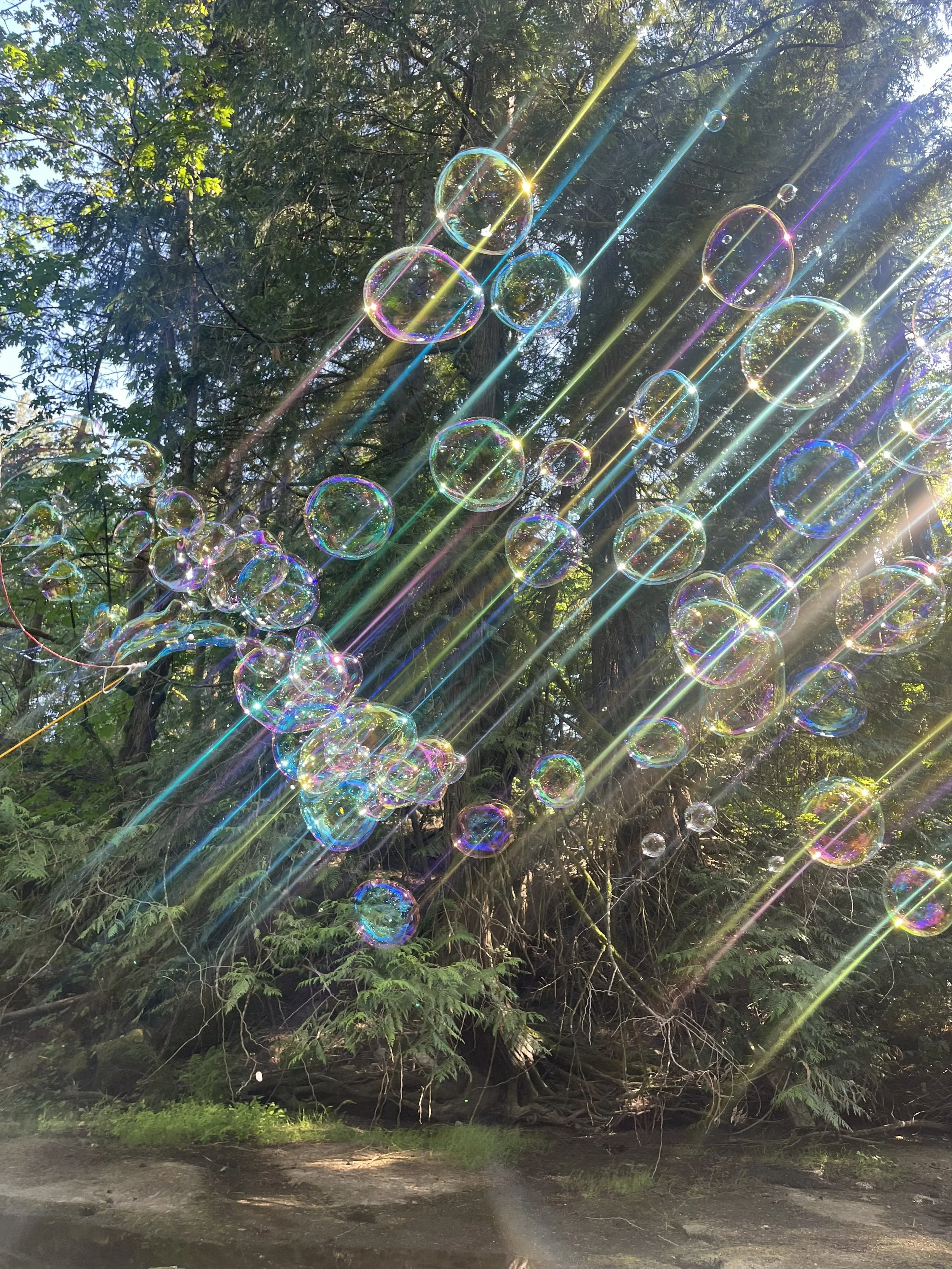 Illuminated soap bubbles floating in front of a green tree in a park.