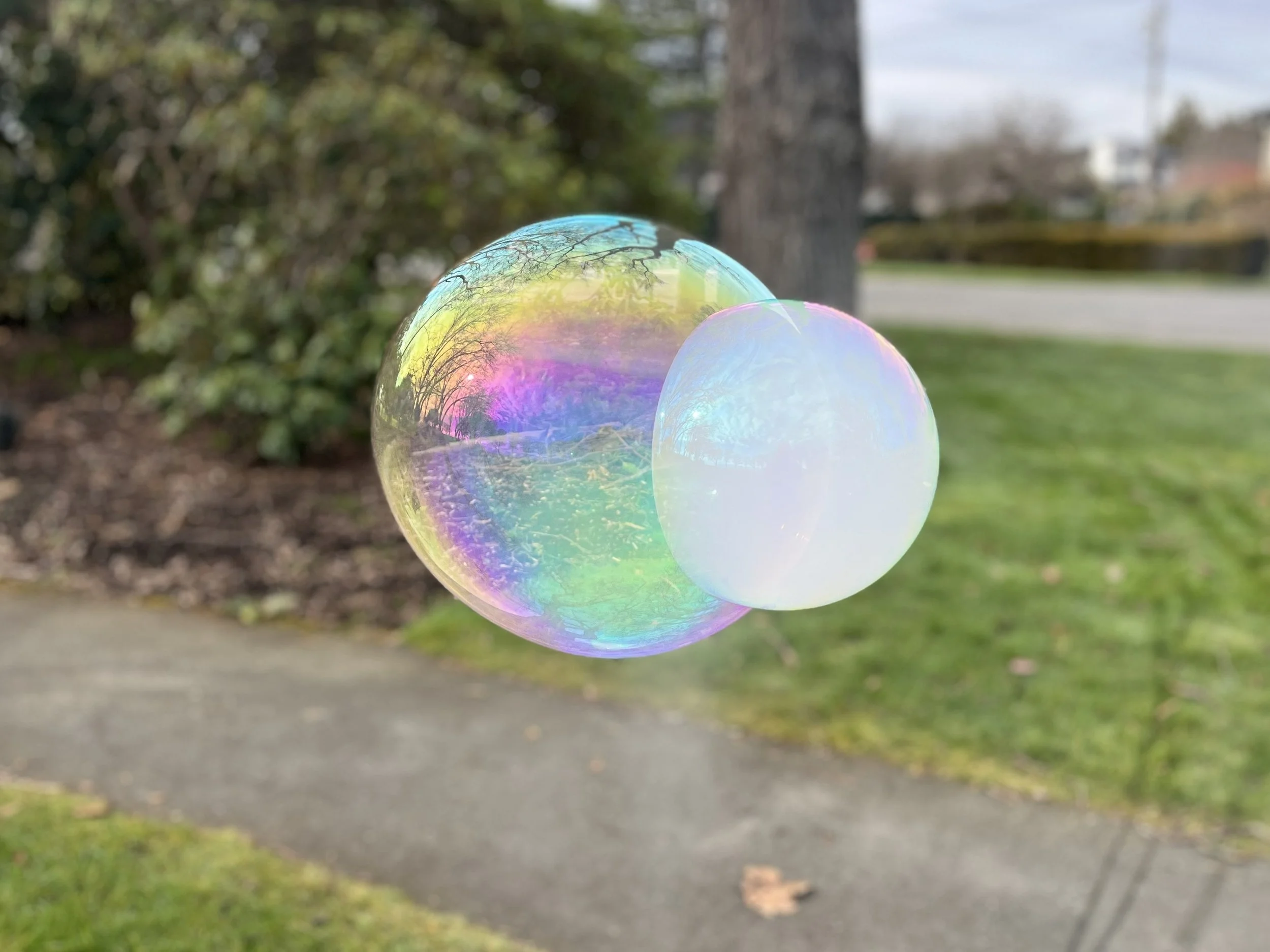 Close-up view of two iridescent soap bubbles floating outdoors with trees, grass, and sidewalk in the background.