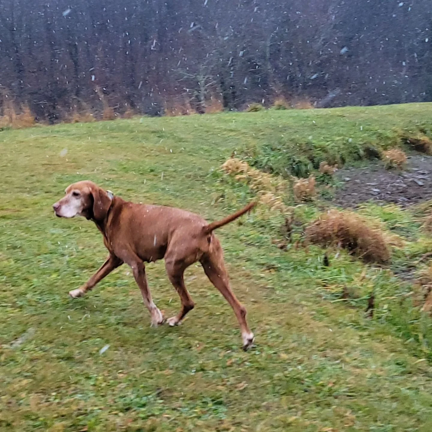 First snowfall of the year! ❄️
