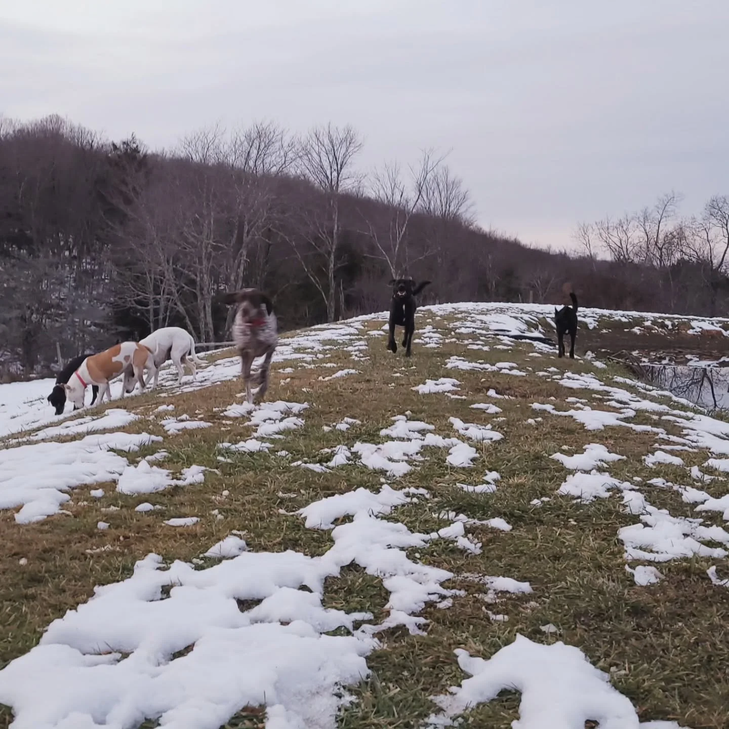 Tail end of a 50&deg; day!