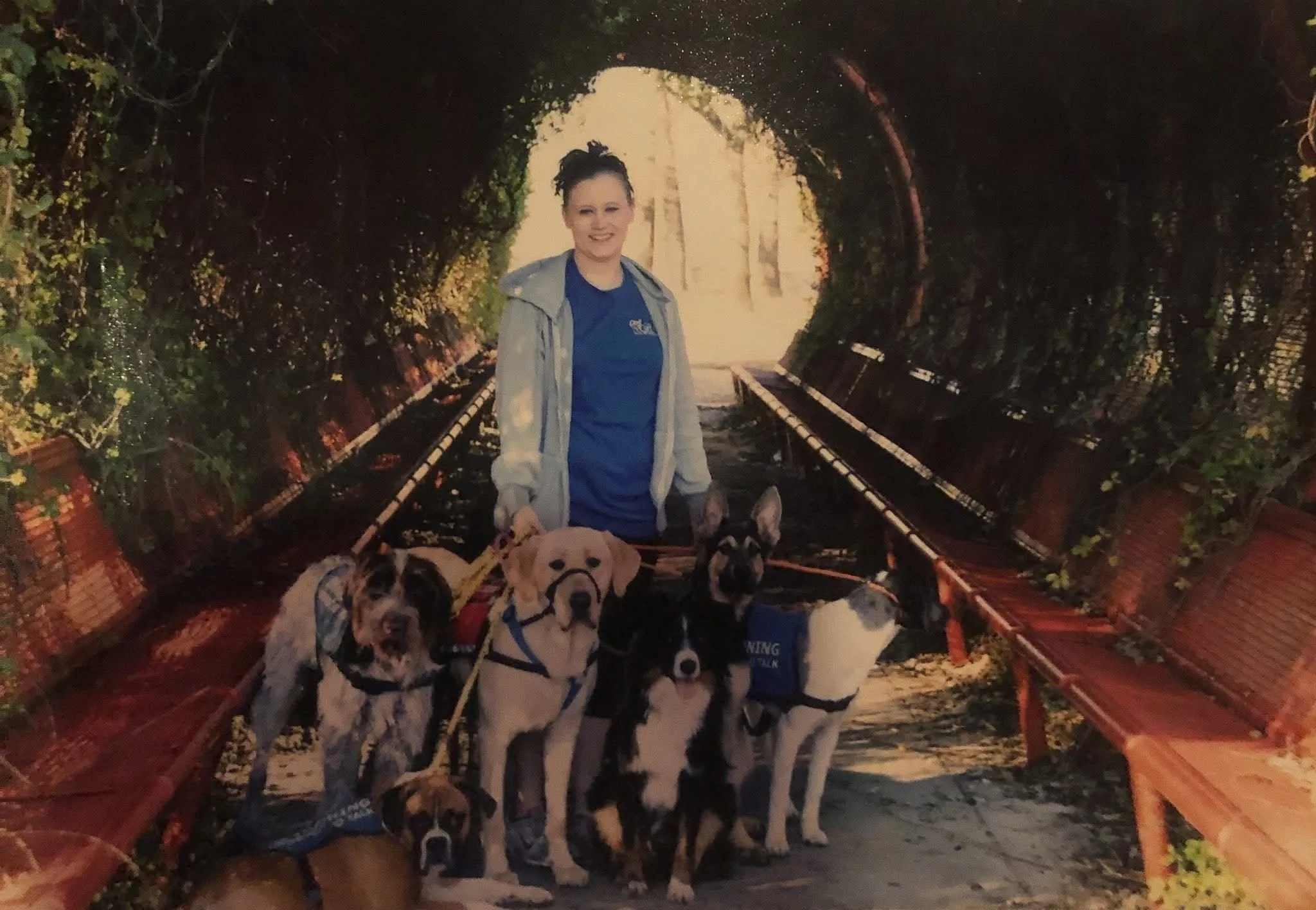 Kristen Lacefield is the Managing Director for ROAM Camp NYC Dog Boarding.