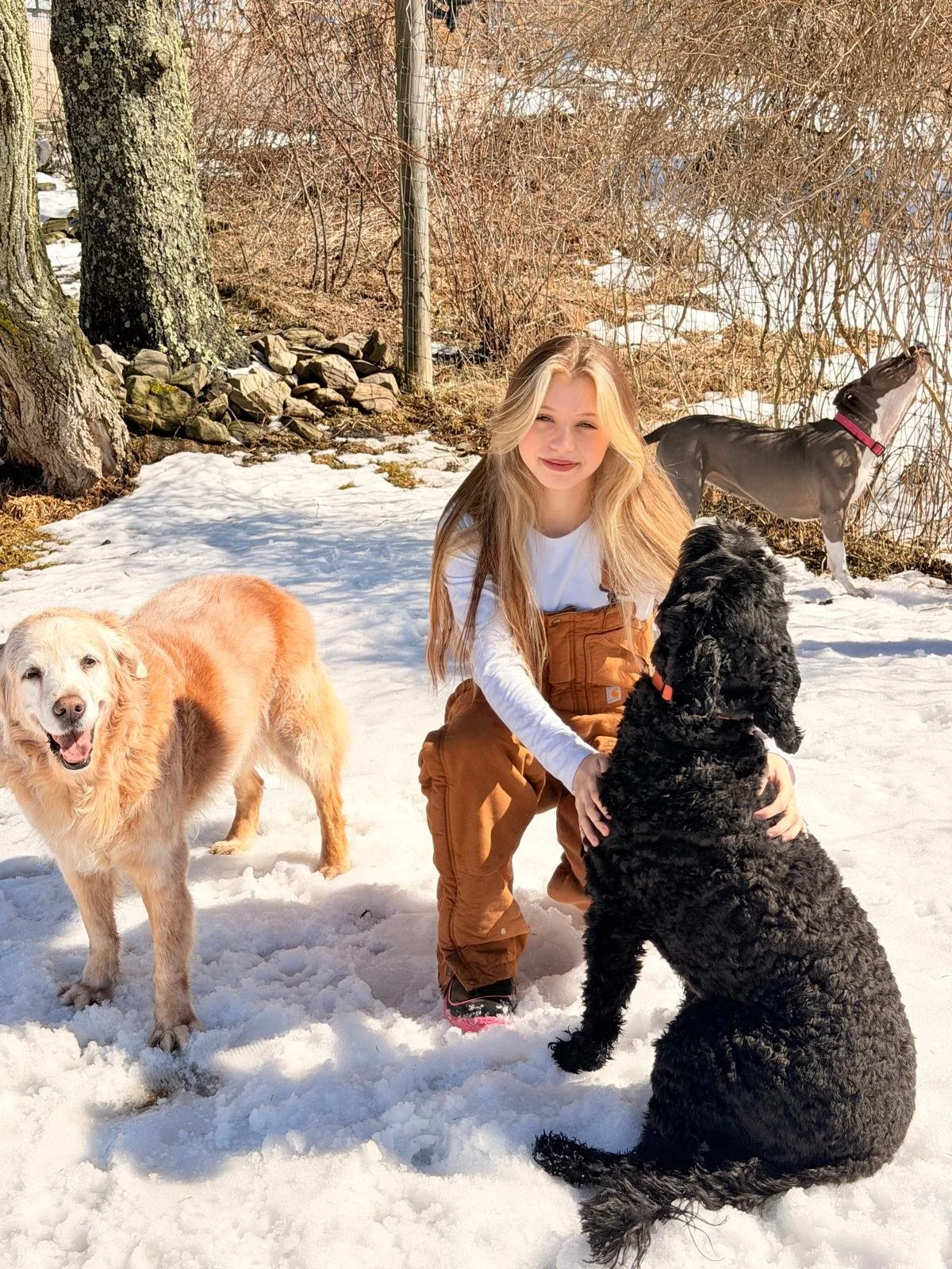 Kyla Lacefield is a certified boarding and training apprentice at ROAM Country Dog Boarding Camp.