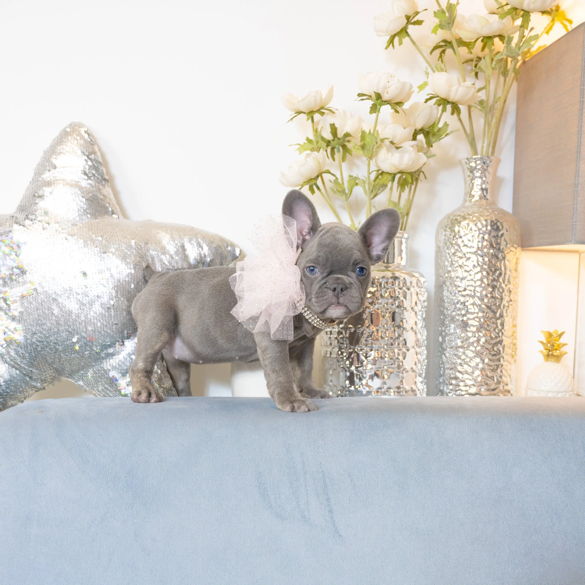 Girl Luna