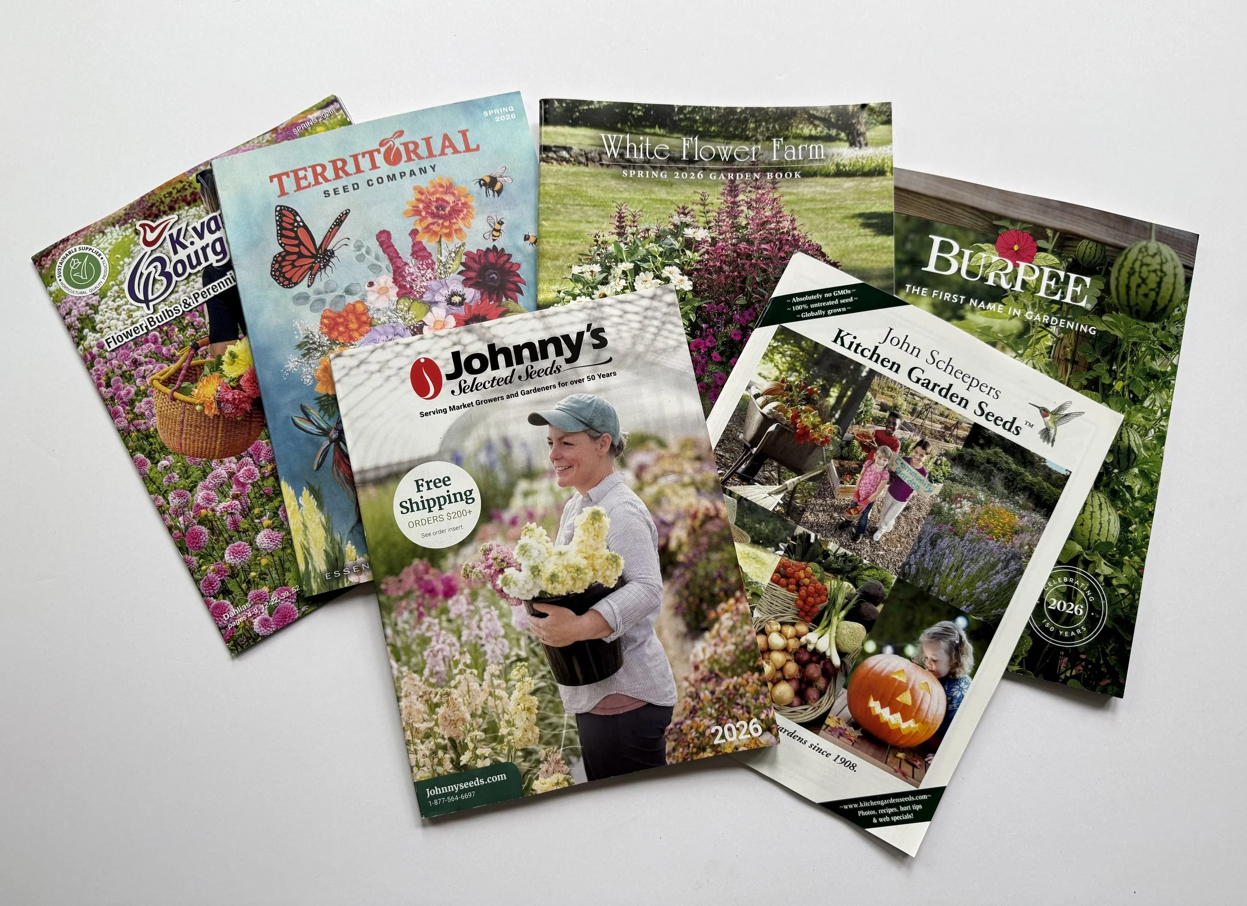 This Is How It Begins