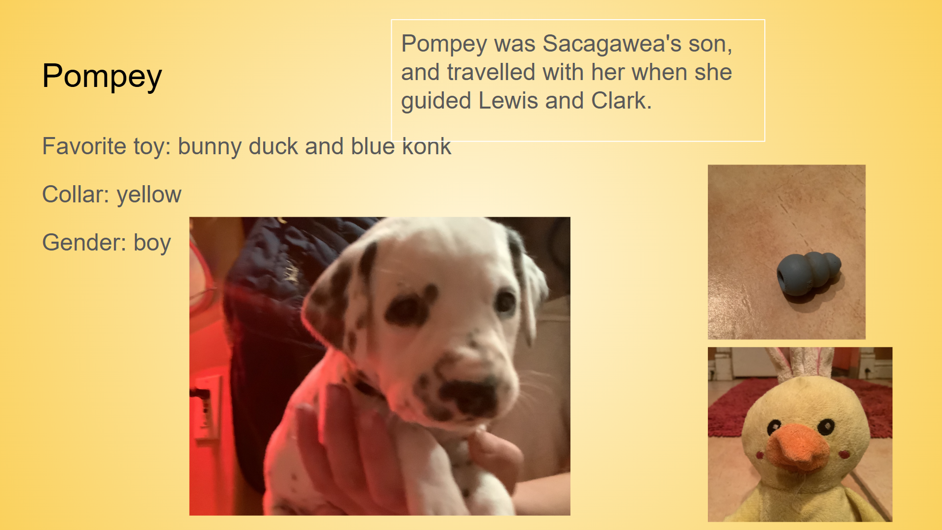 Pompey.png