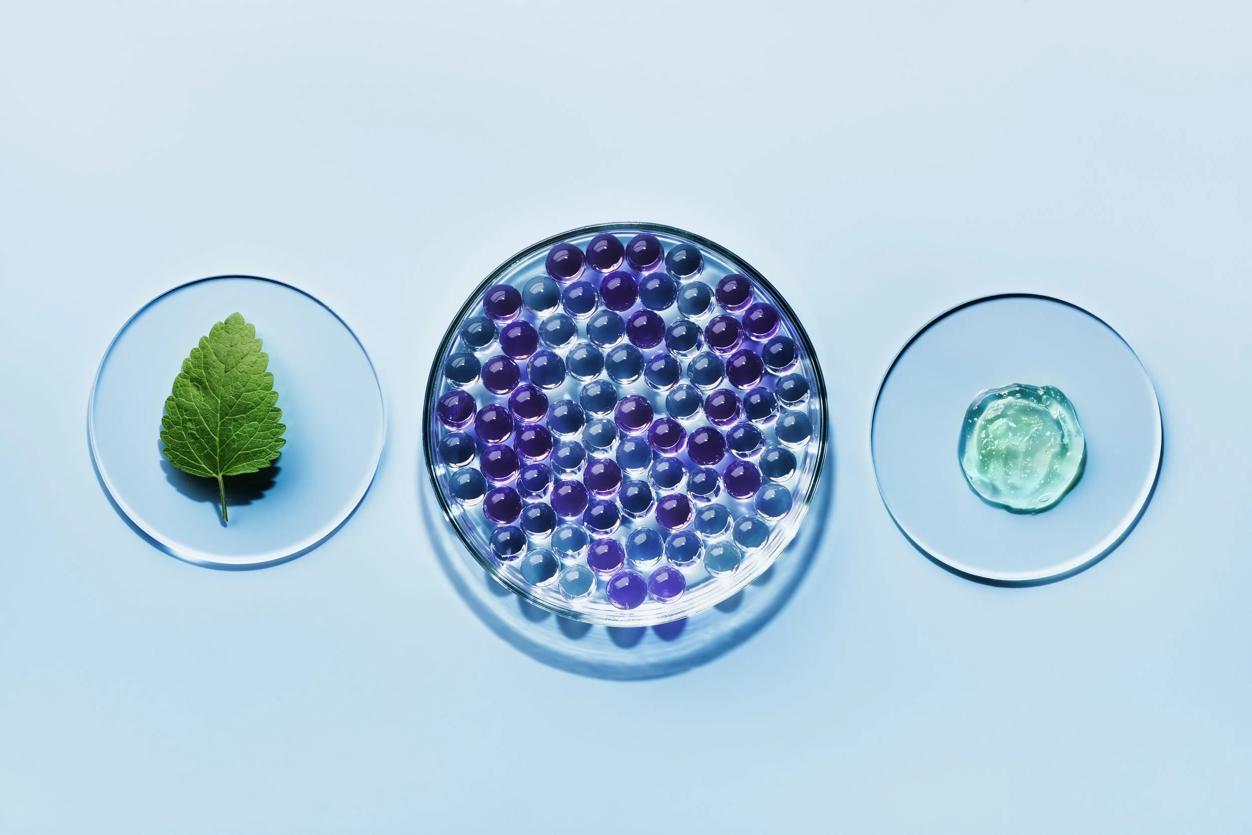 What are liposomes?