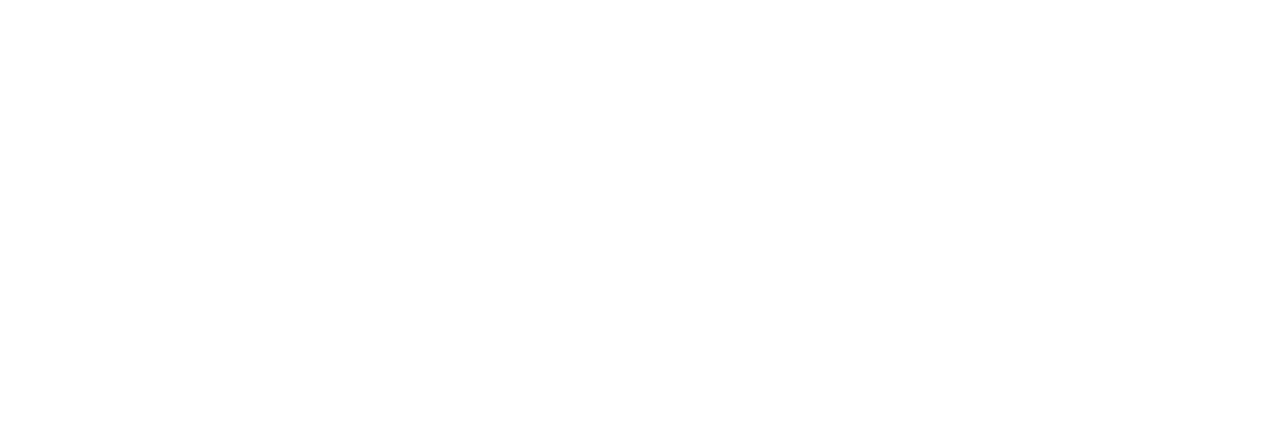 Logo with text 'Brotherhood & Sisterhood Mentoring Network' in bold white font.