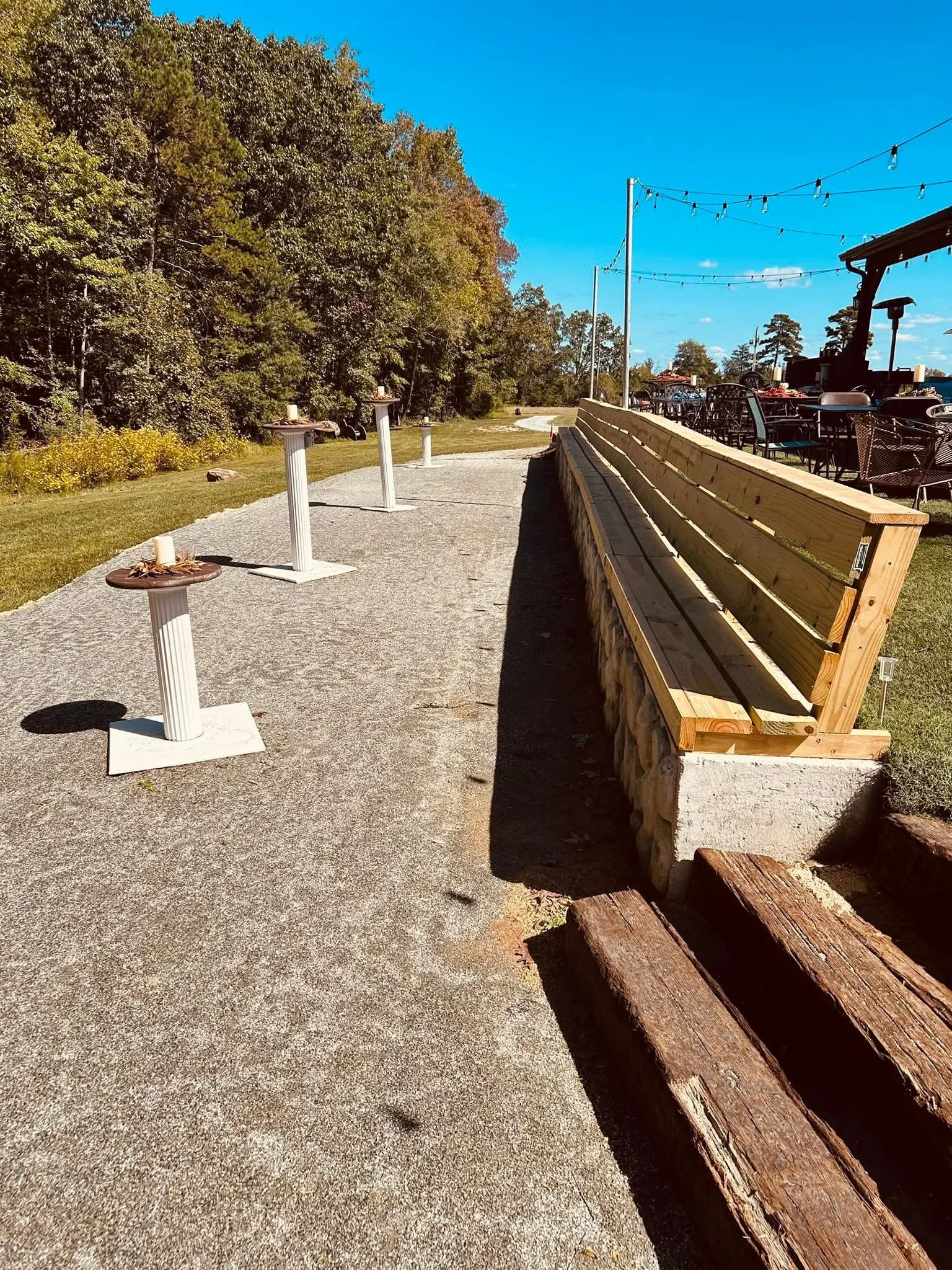 461.jpg