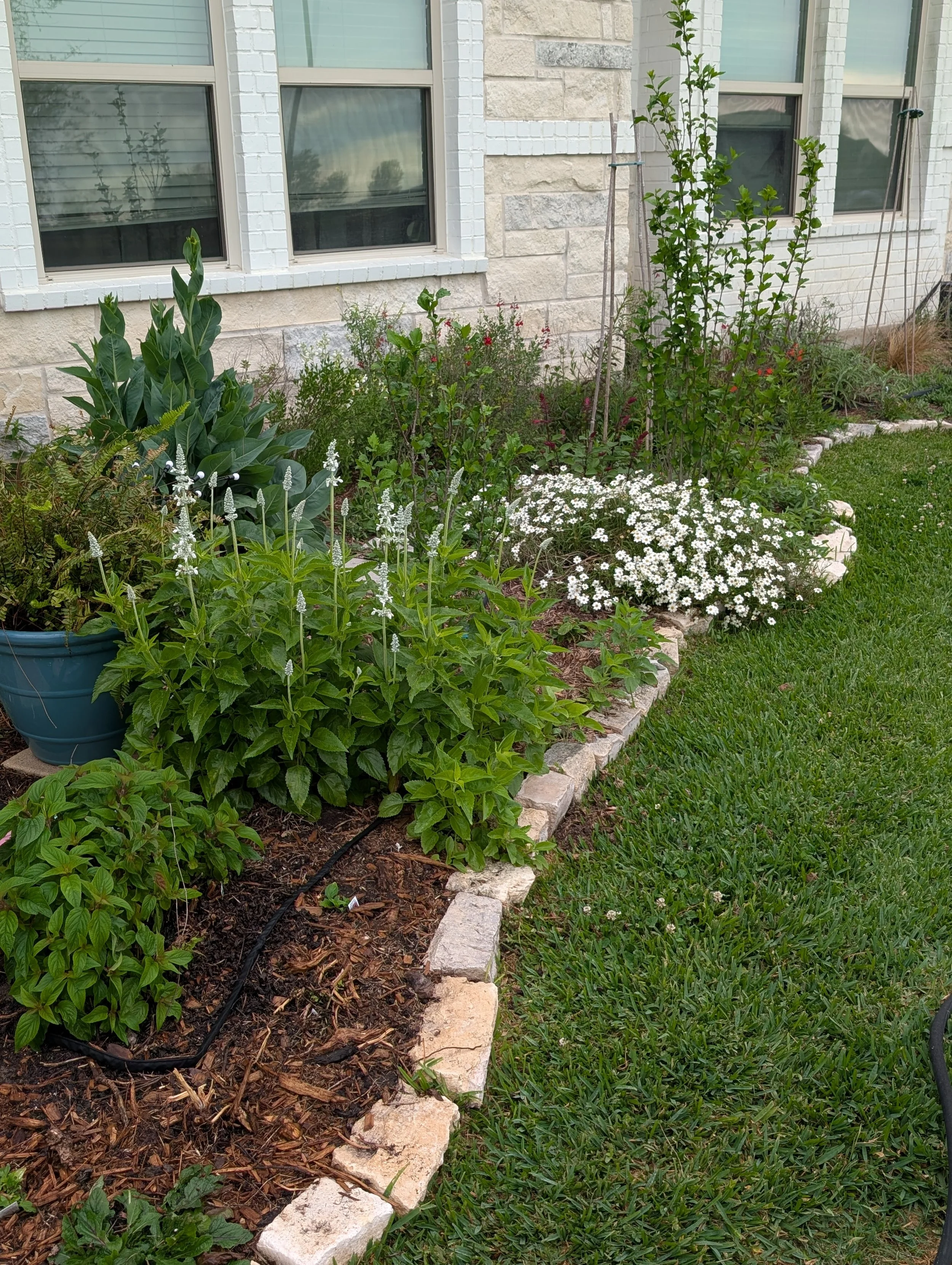 alittledirtcanthurt-garden-coaching-flower-garden.jpg