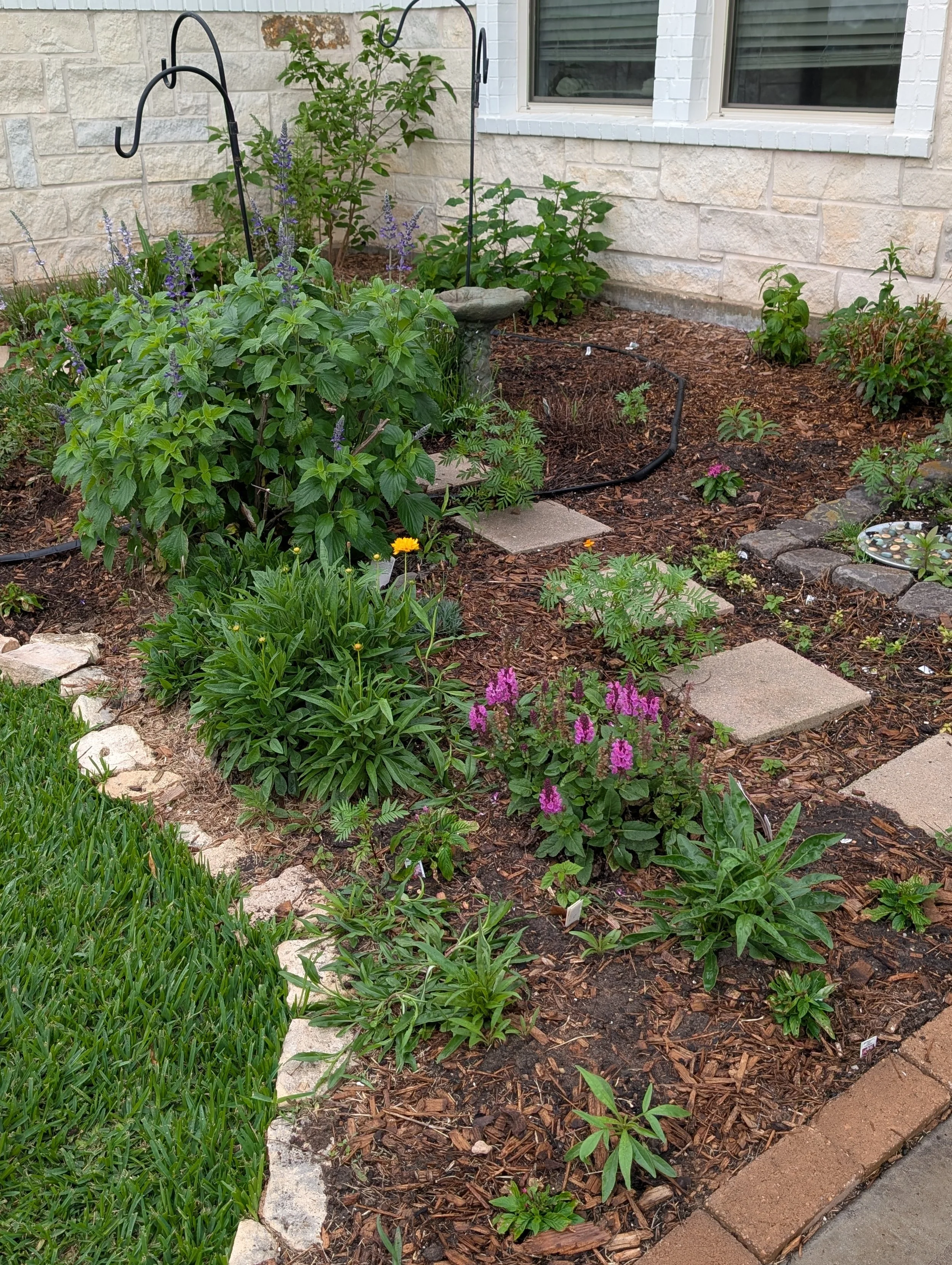 alittledirtcanthurt-garden-coaching-flower-garden2.jpg